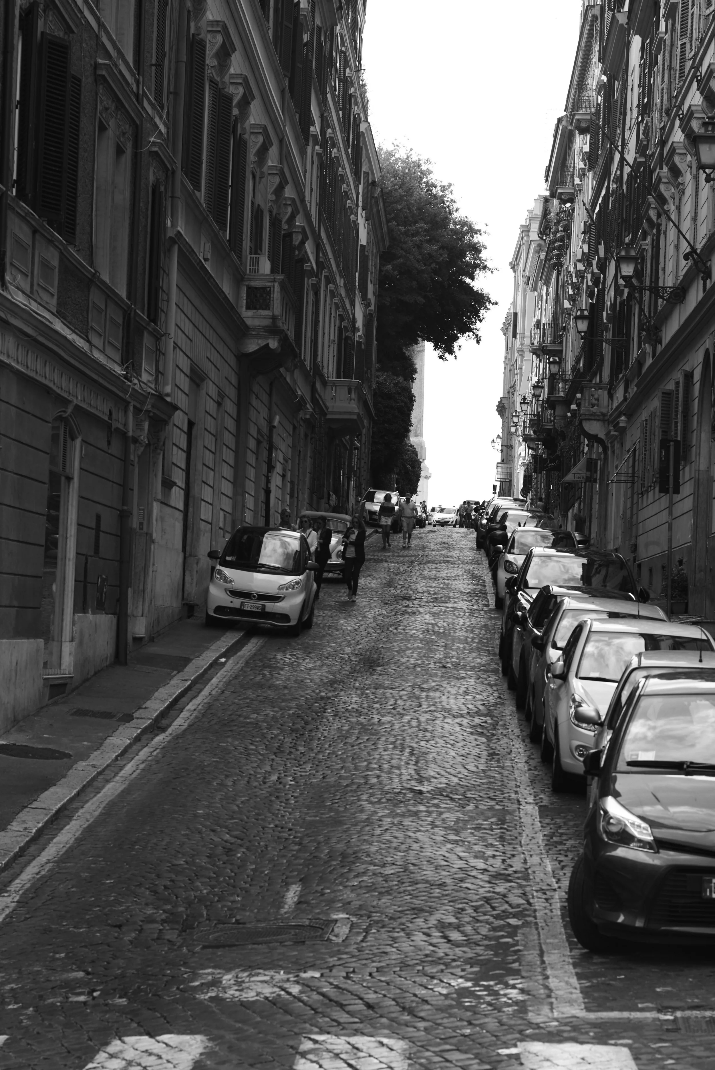 L1007720.jpg