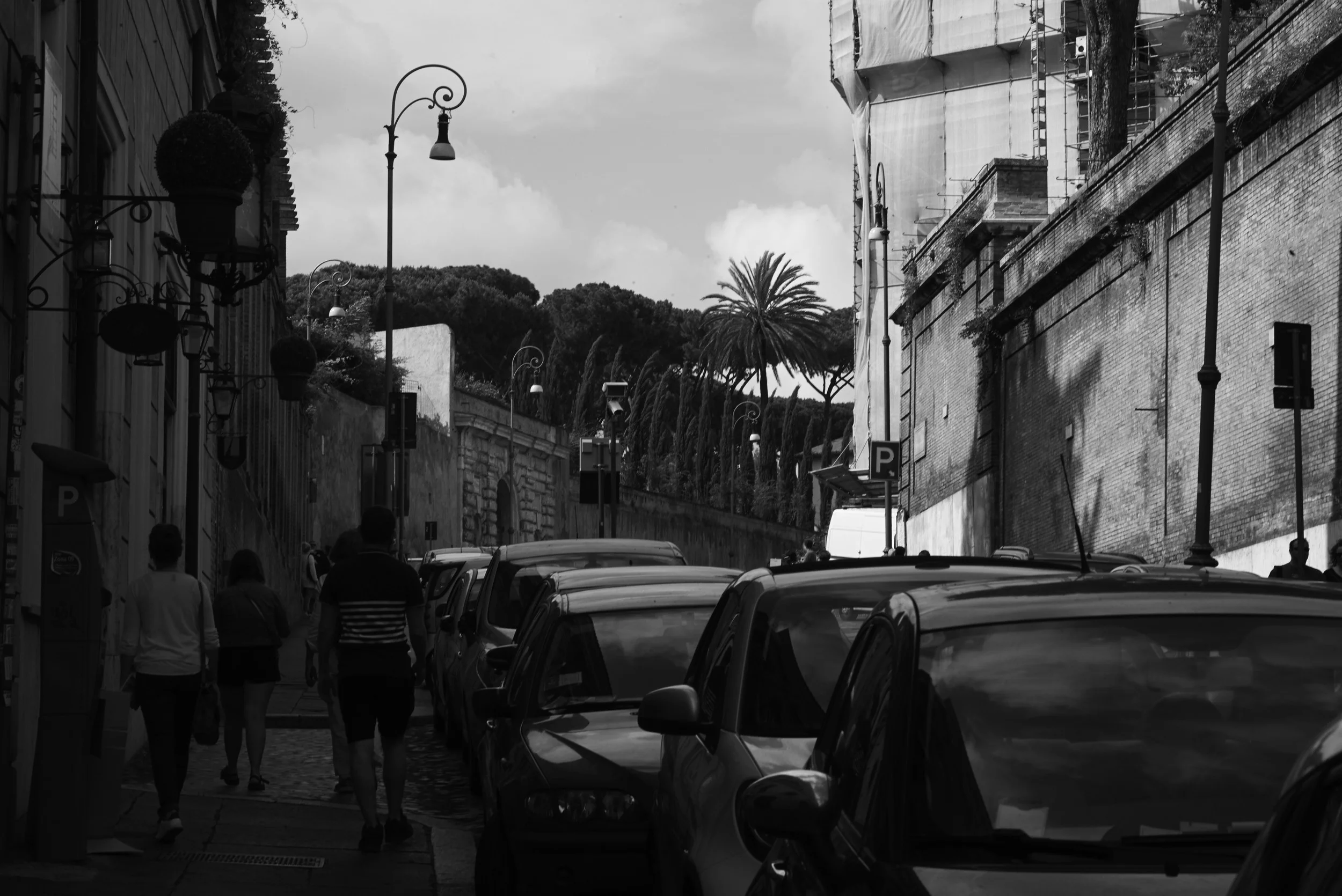 L1007726.jpg