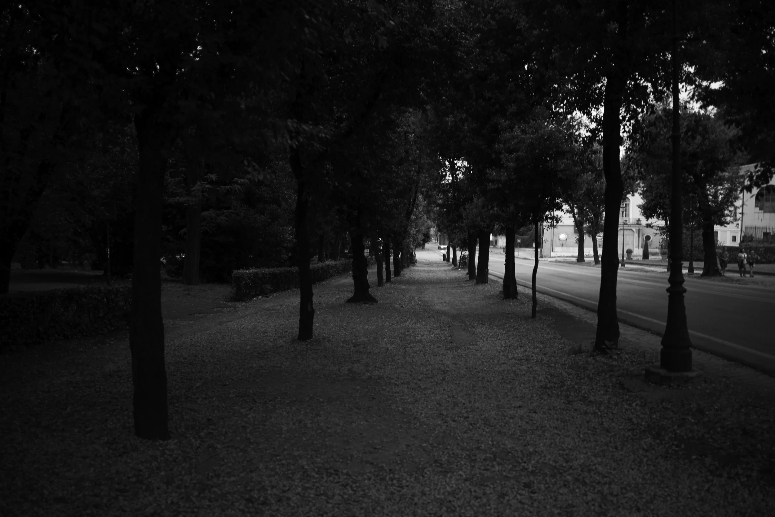 L1007816.jpg