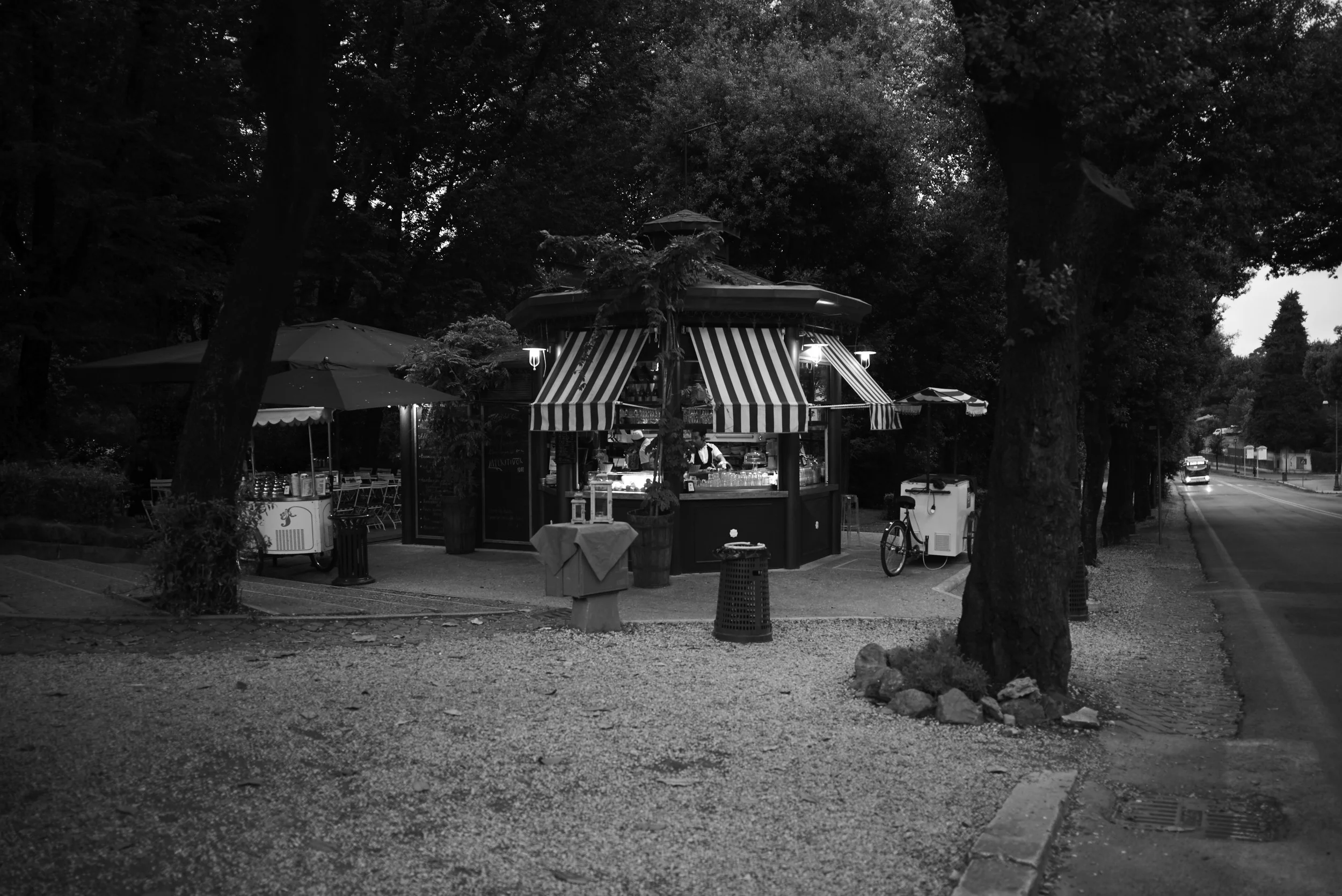 L1007815.jpg