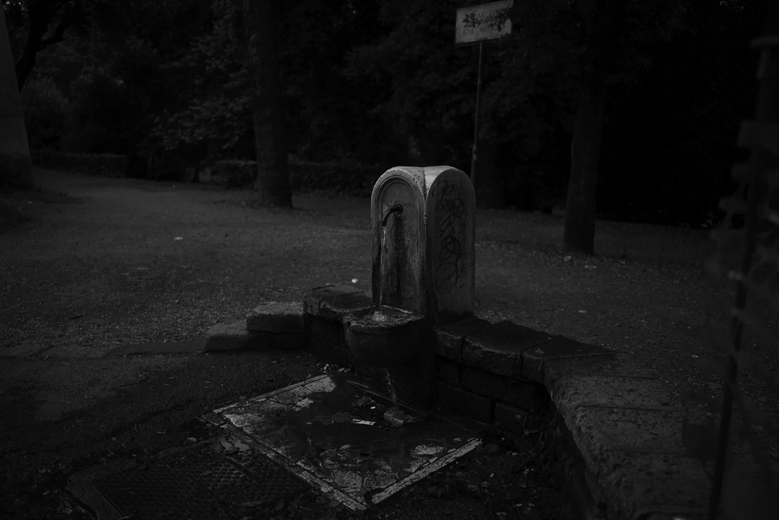 L1007828.jpg