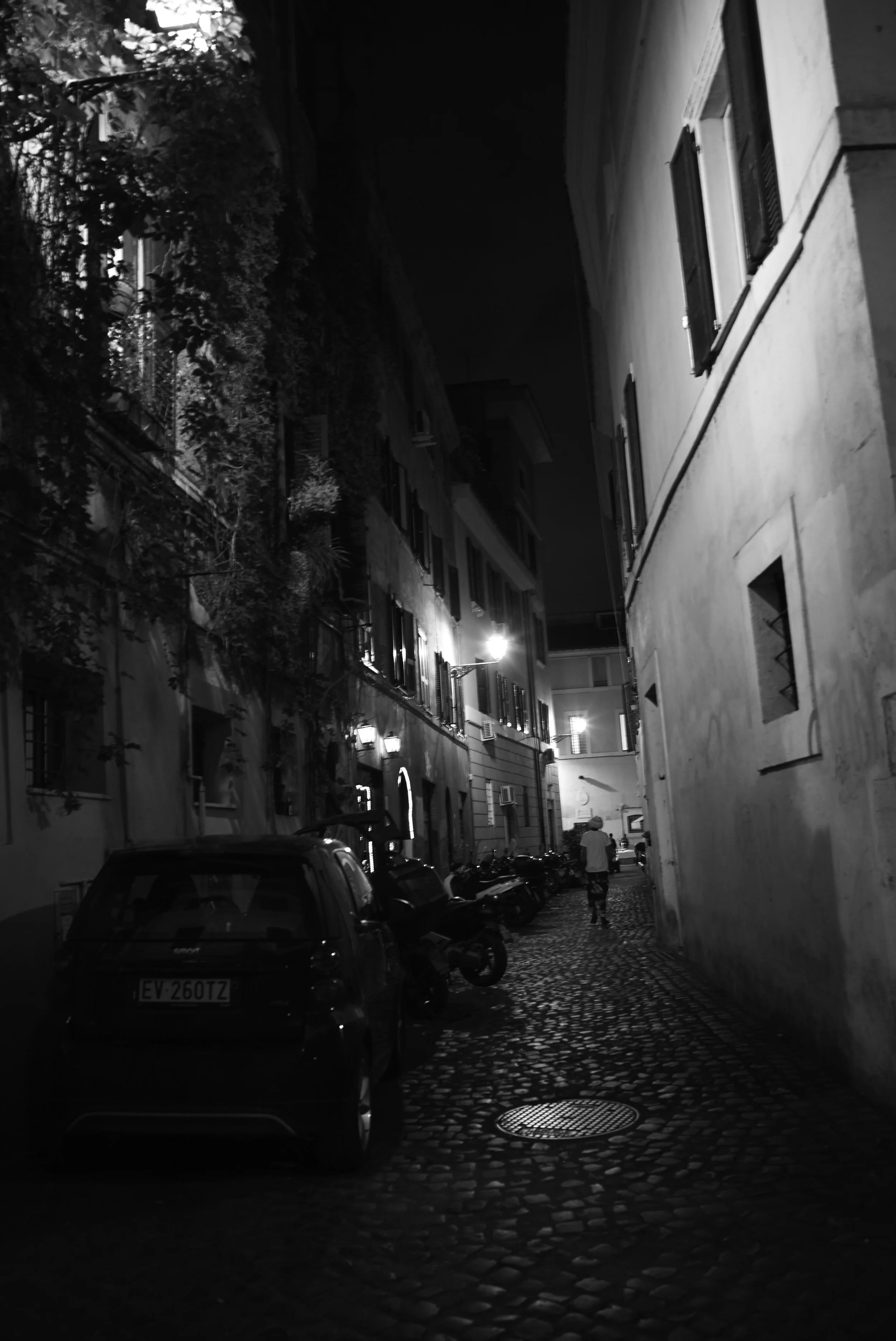 L1007864.jpg