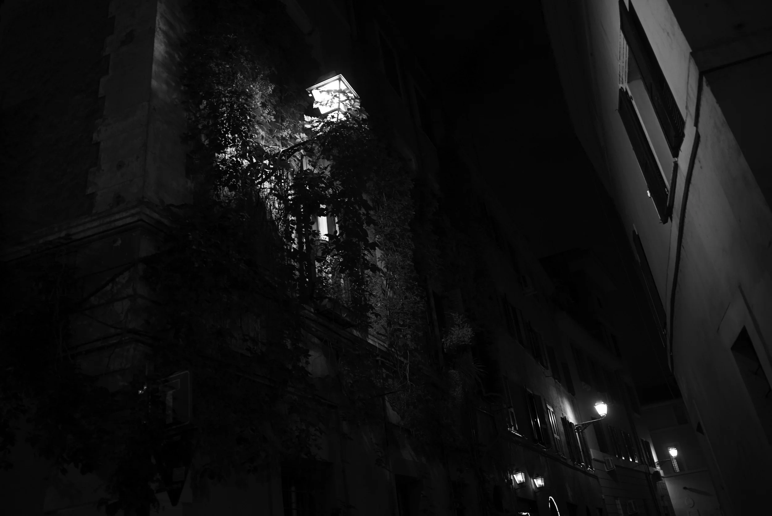 L1007866.jpg