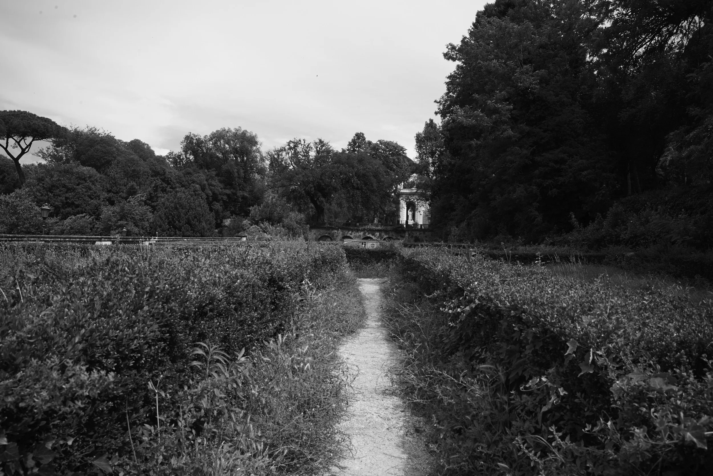 L1007906.jpg