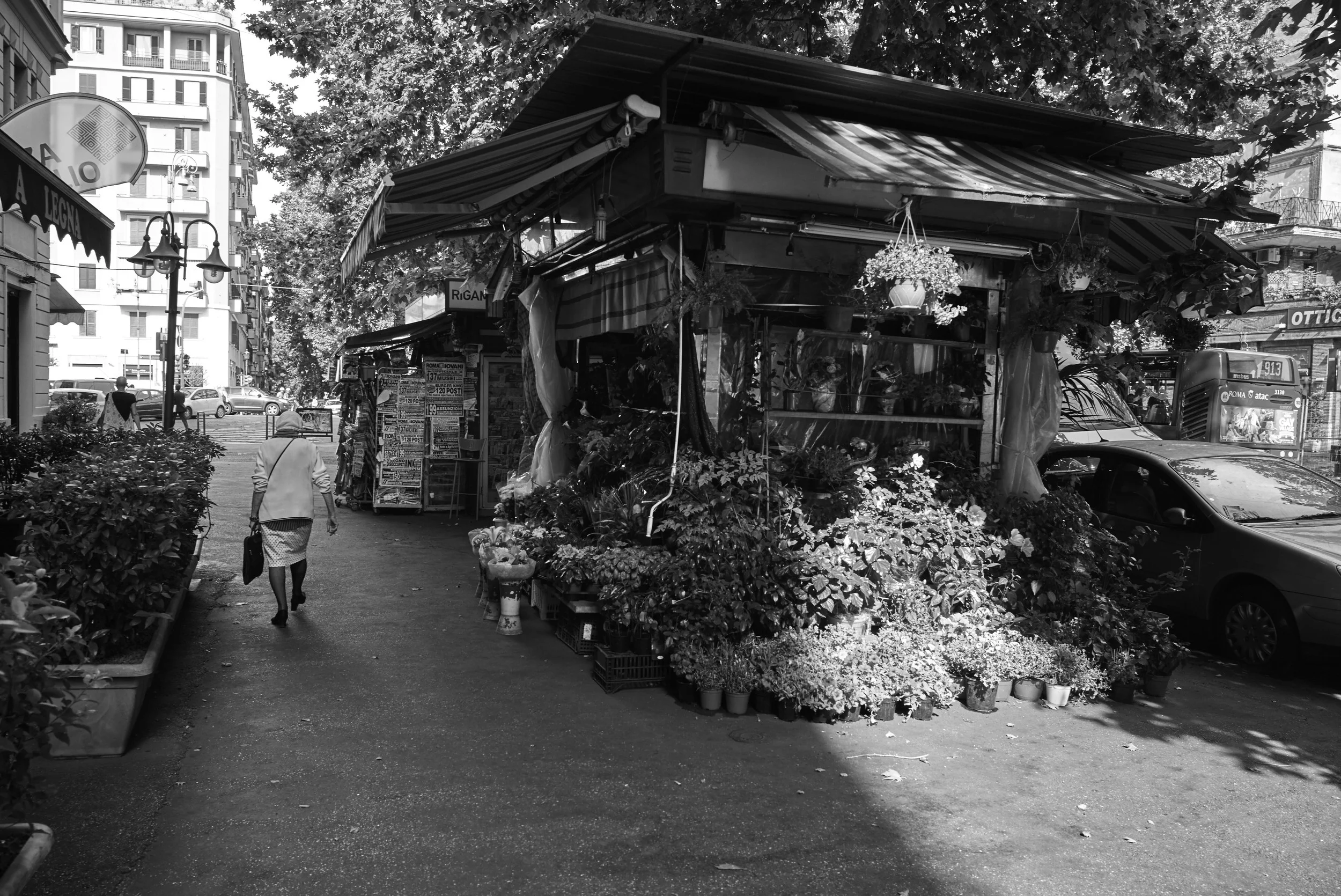 L1007940.jpg