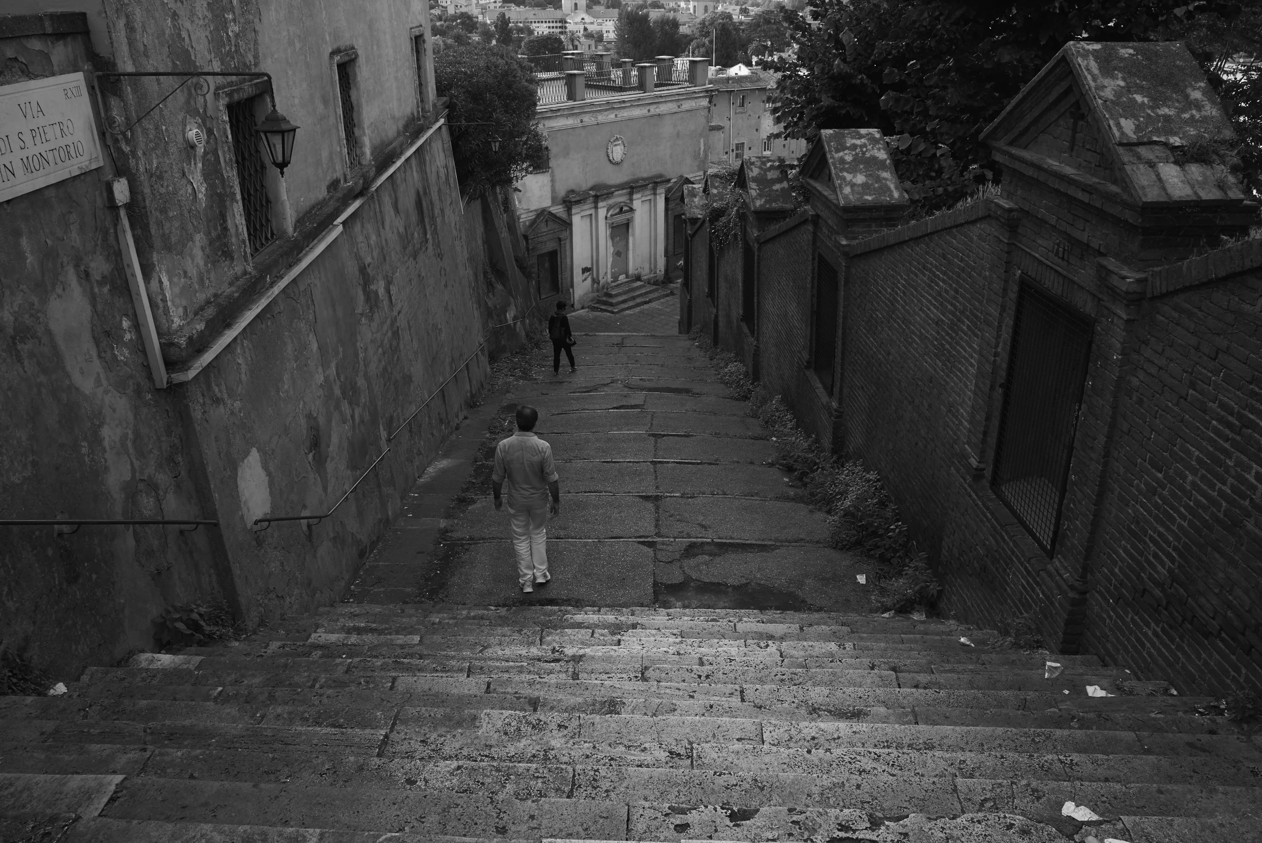 L1007971.jpg