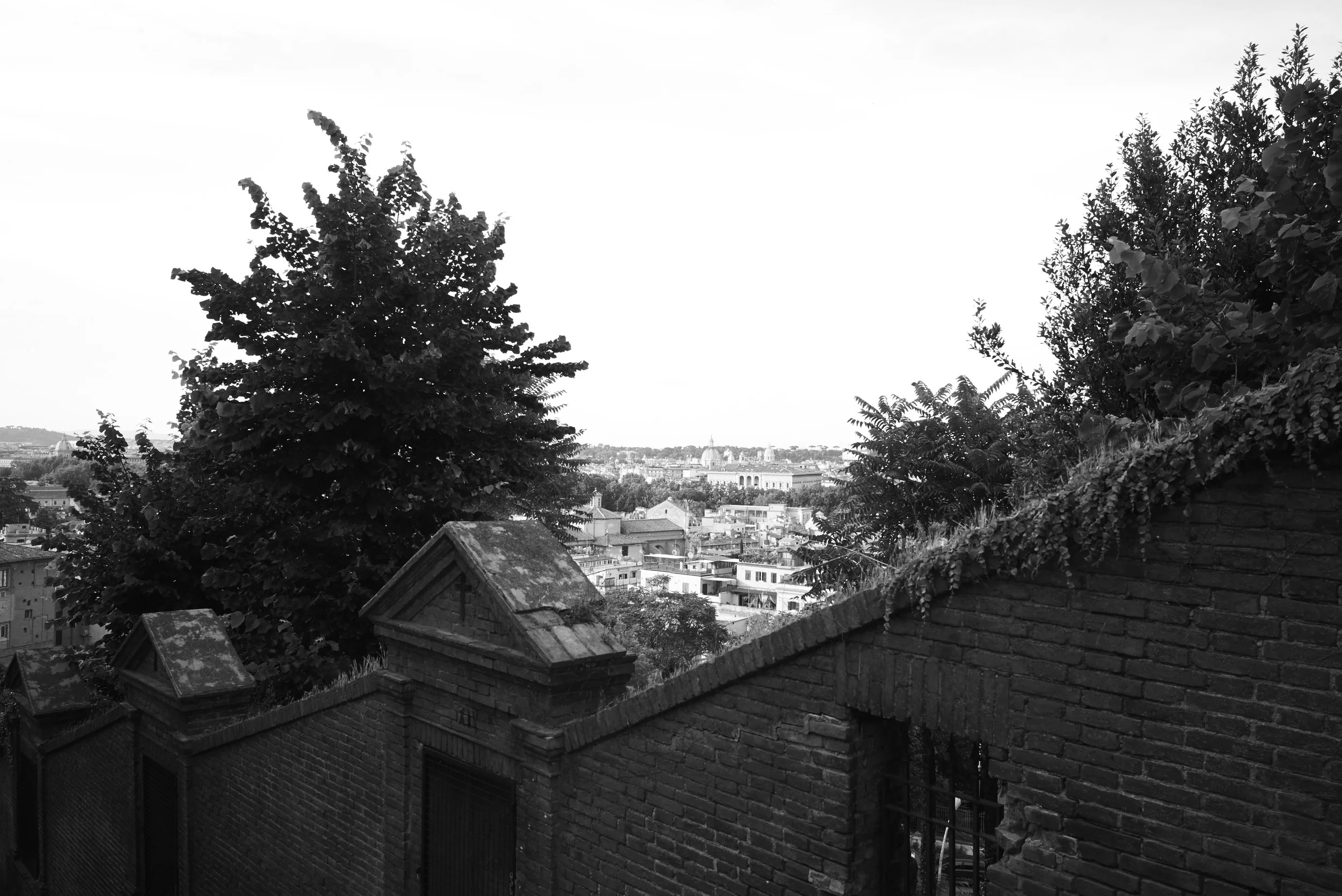L1007973.jpg