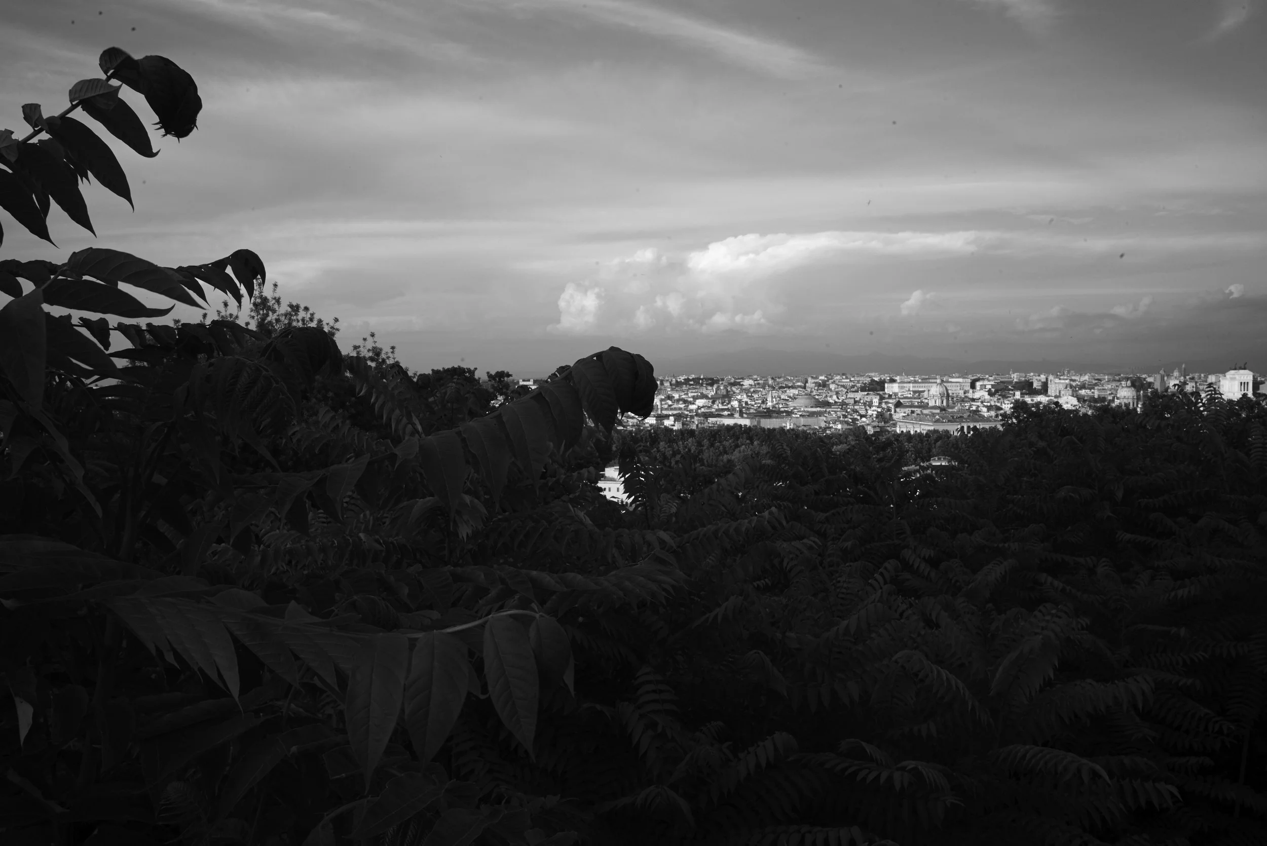 L1008050.jpg