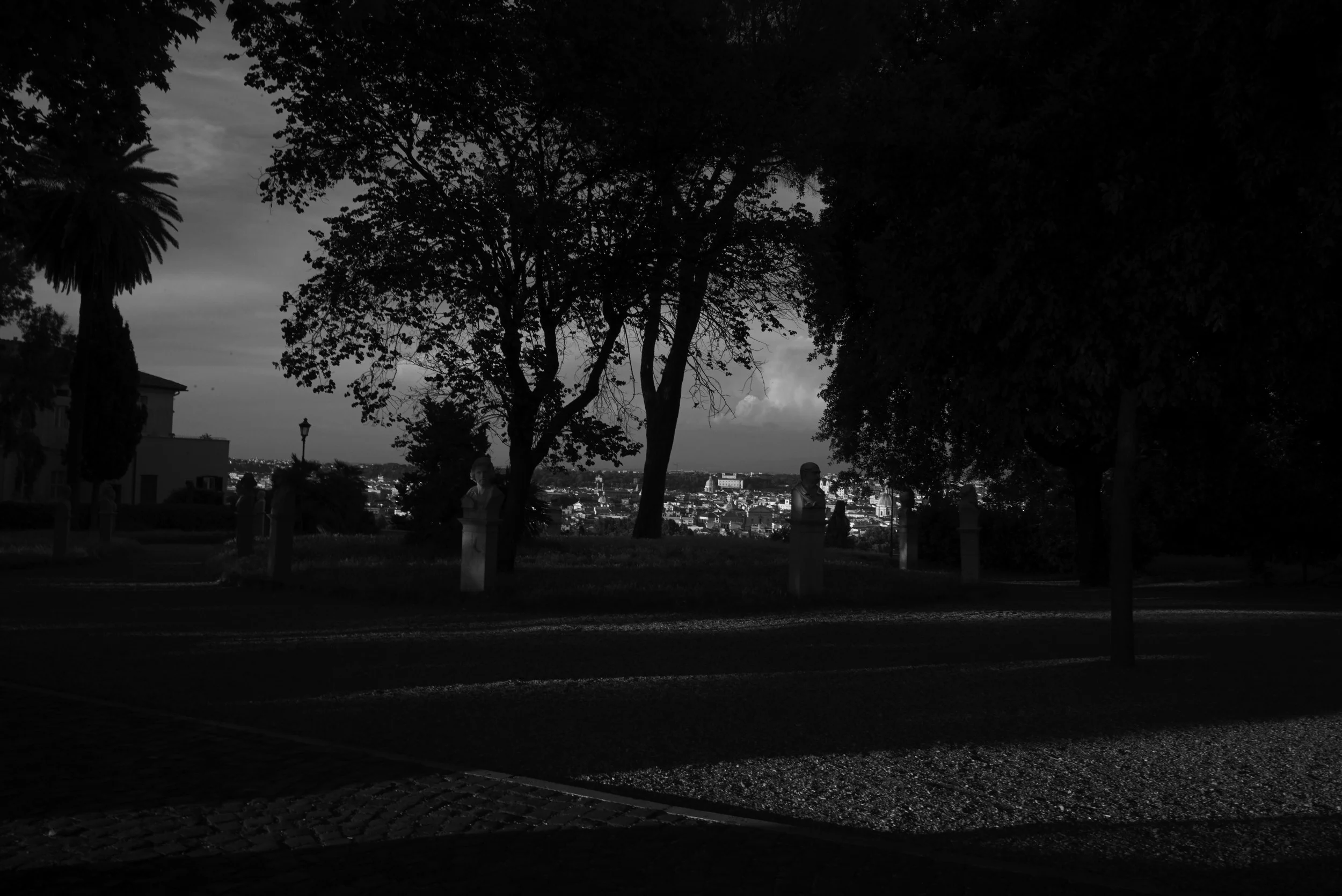 L1008061.jpg