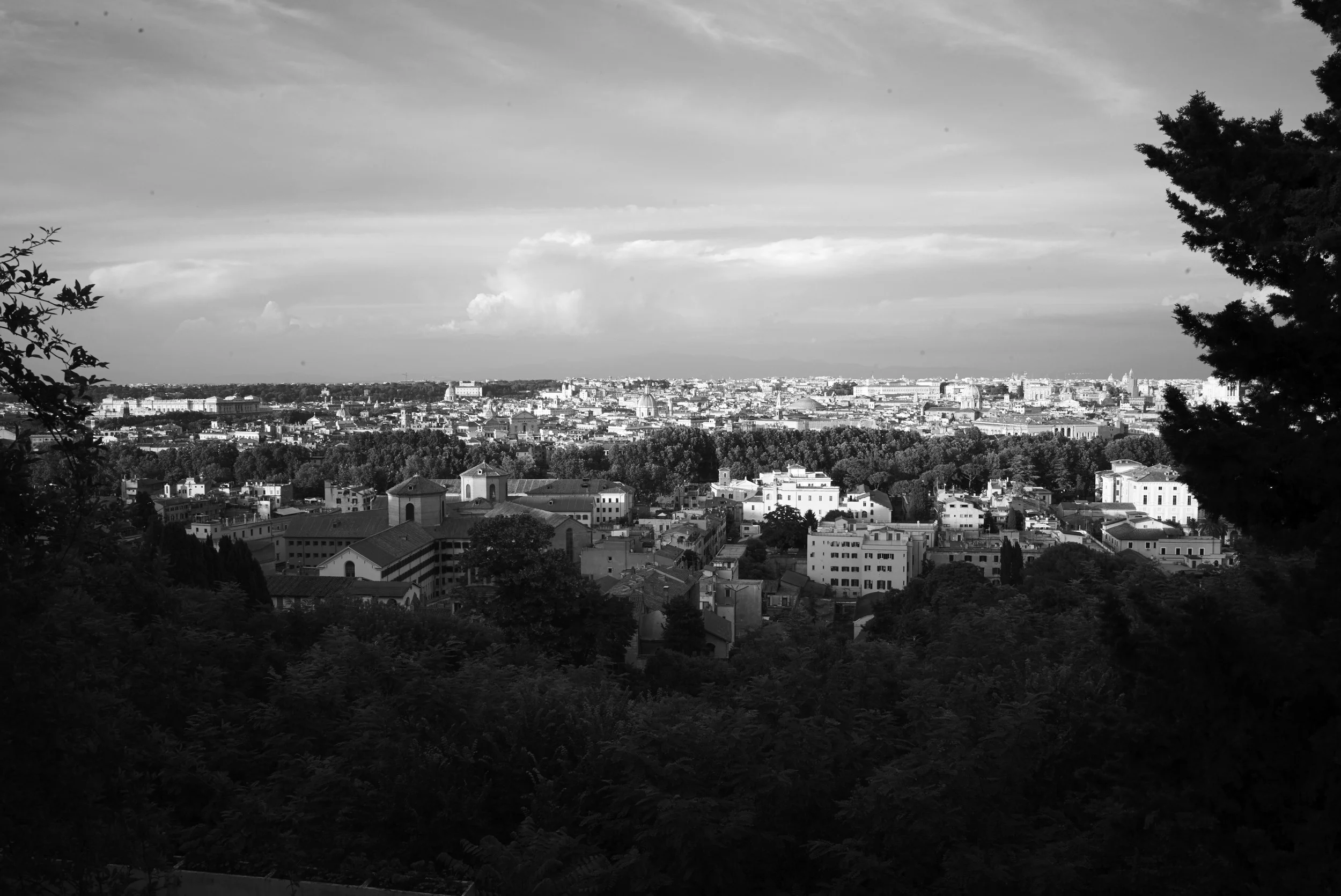 L1008064.jpg