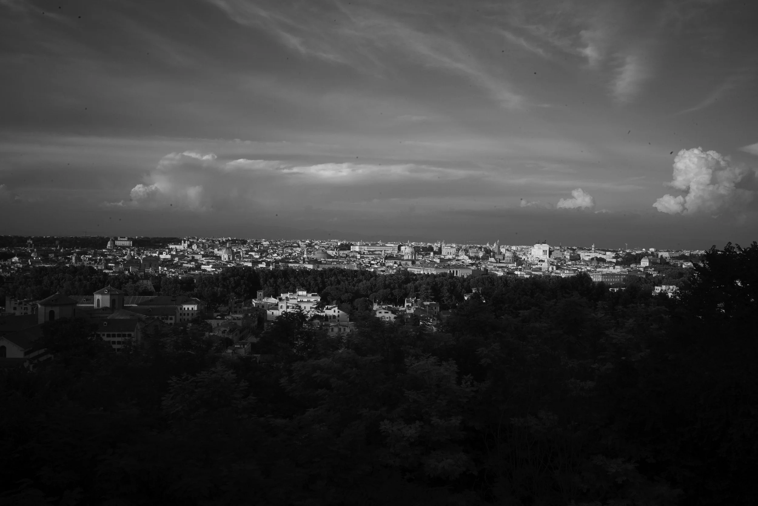 L1008068.jpg