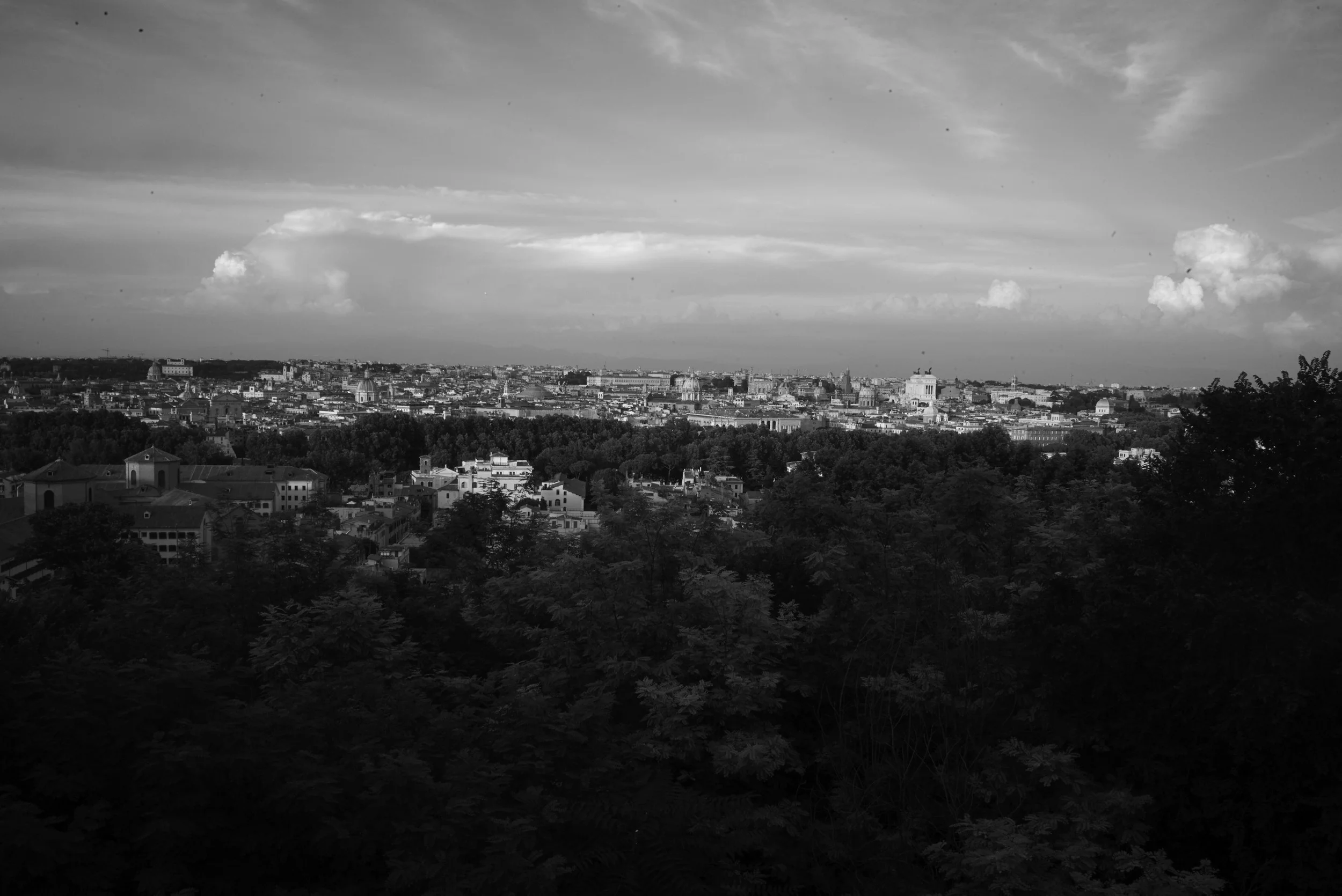 L1008073.jpg
