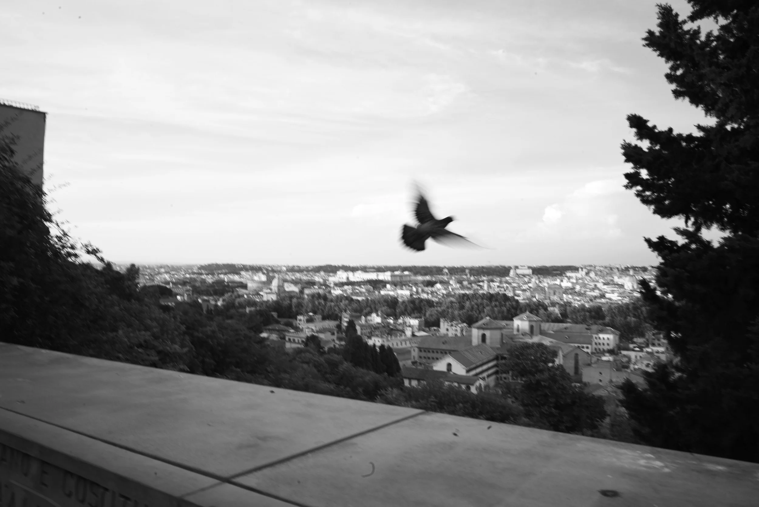 L1008079.jpg
