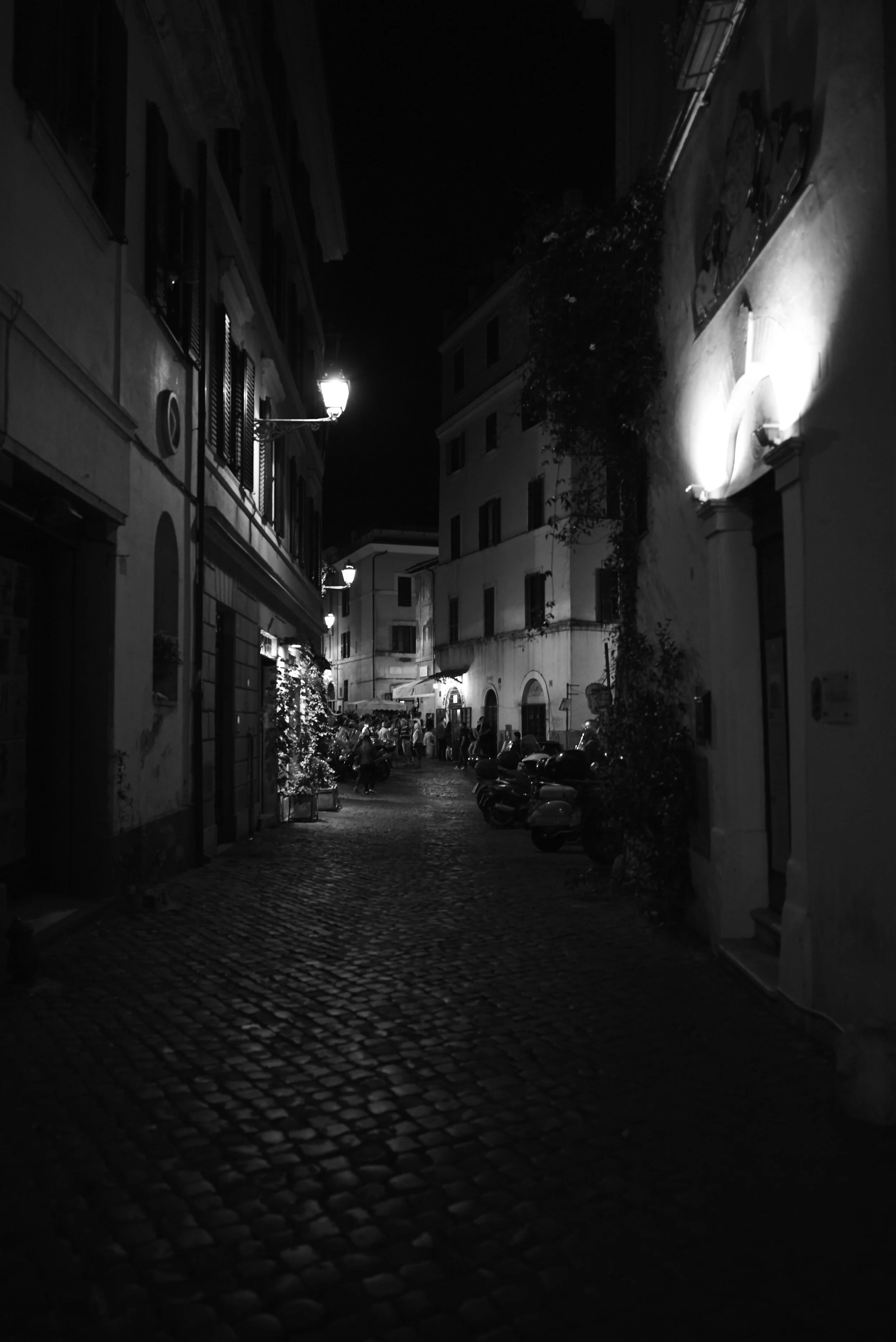 L1008107.jpg