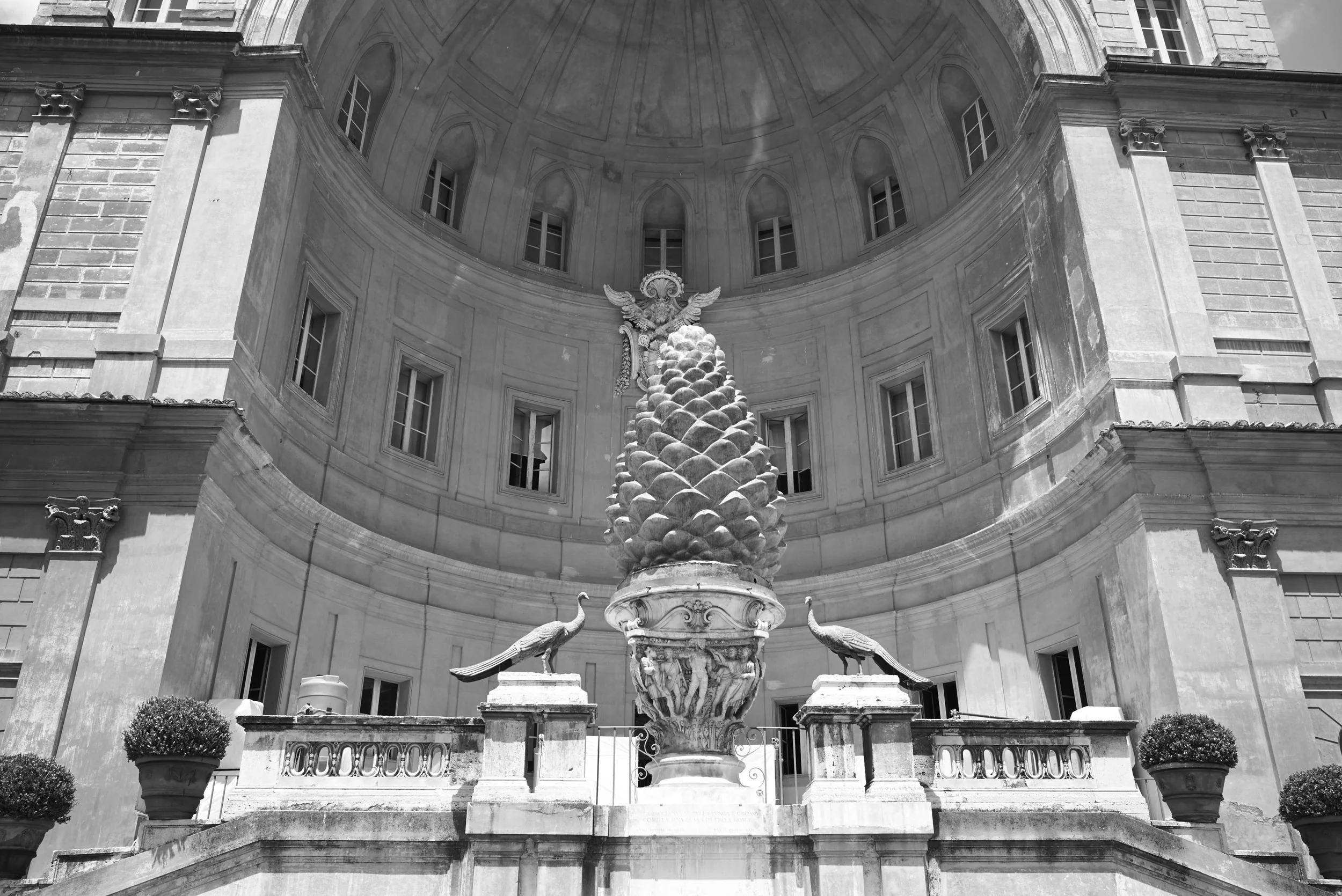 L1008117.jpg