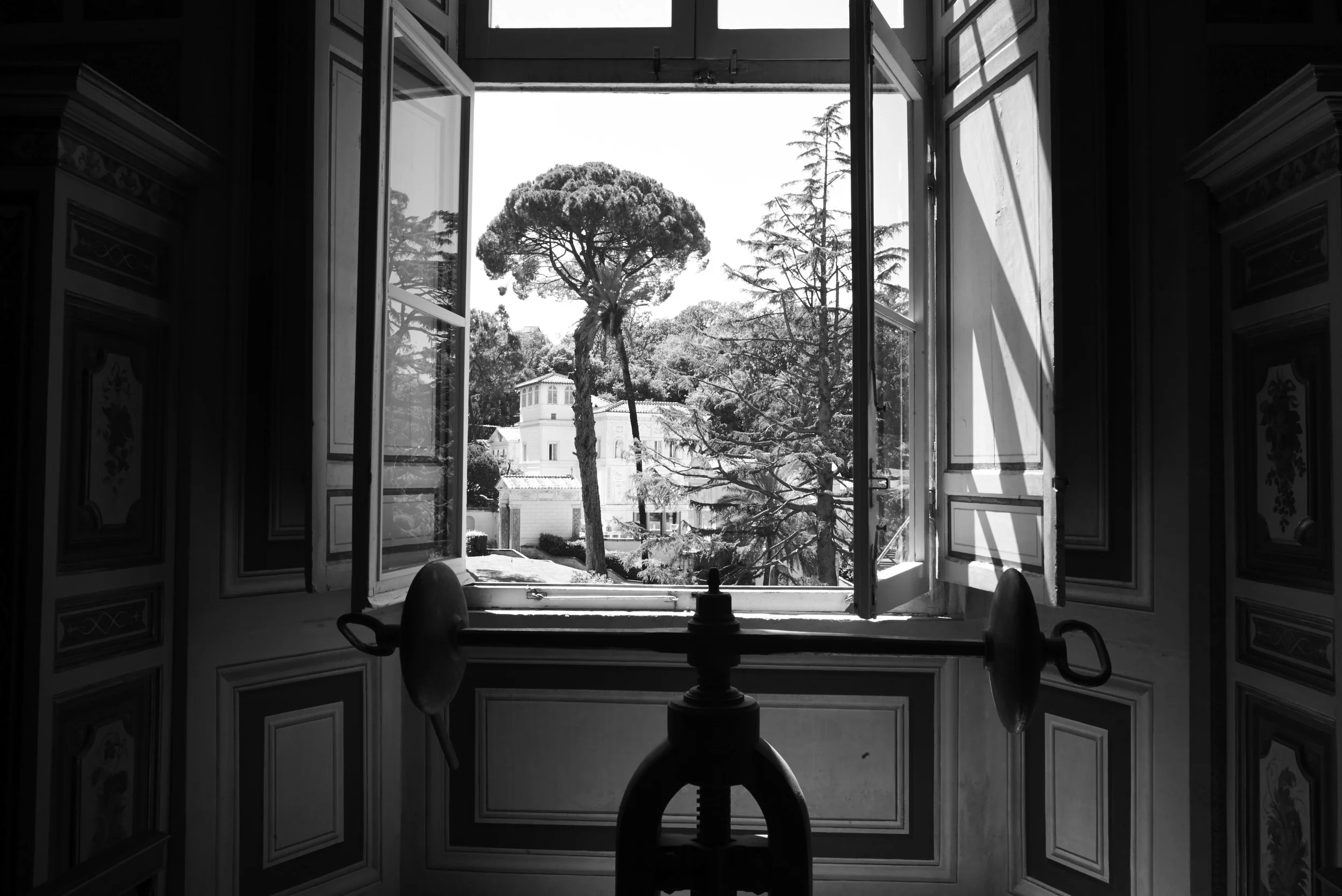 L1008361.jpg