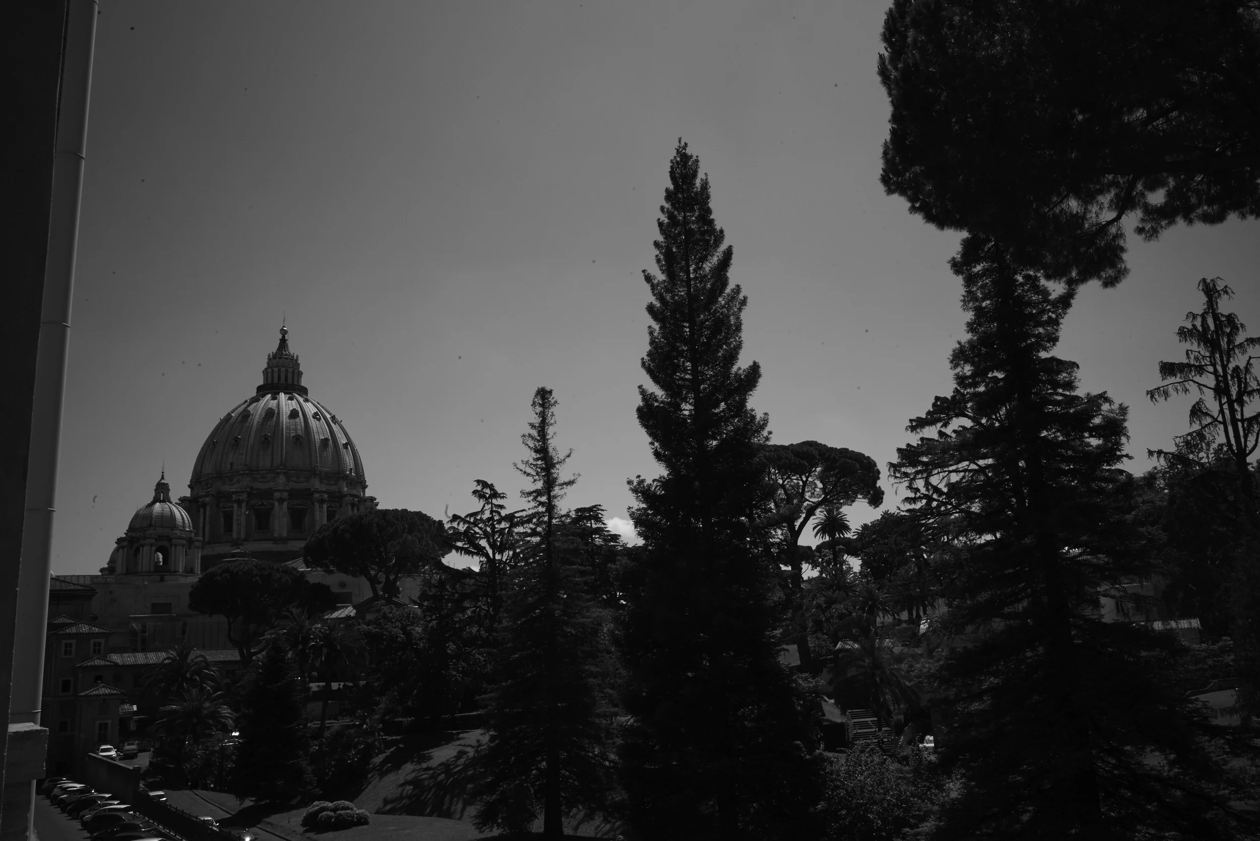 L1008364.jpg