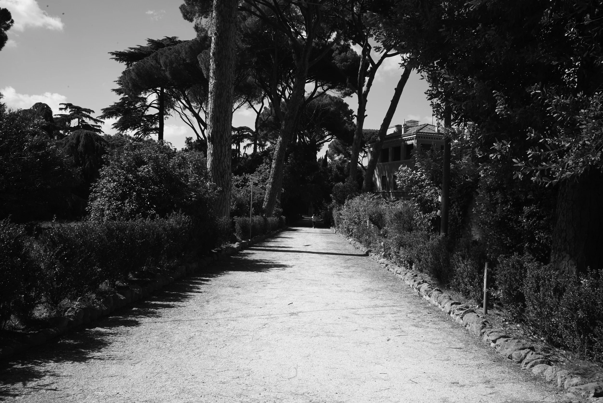 L1008406.jpg
