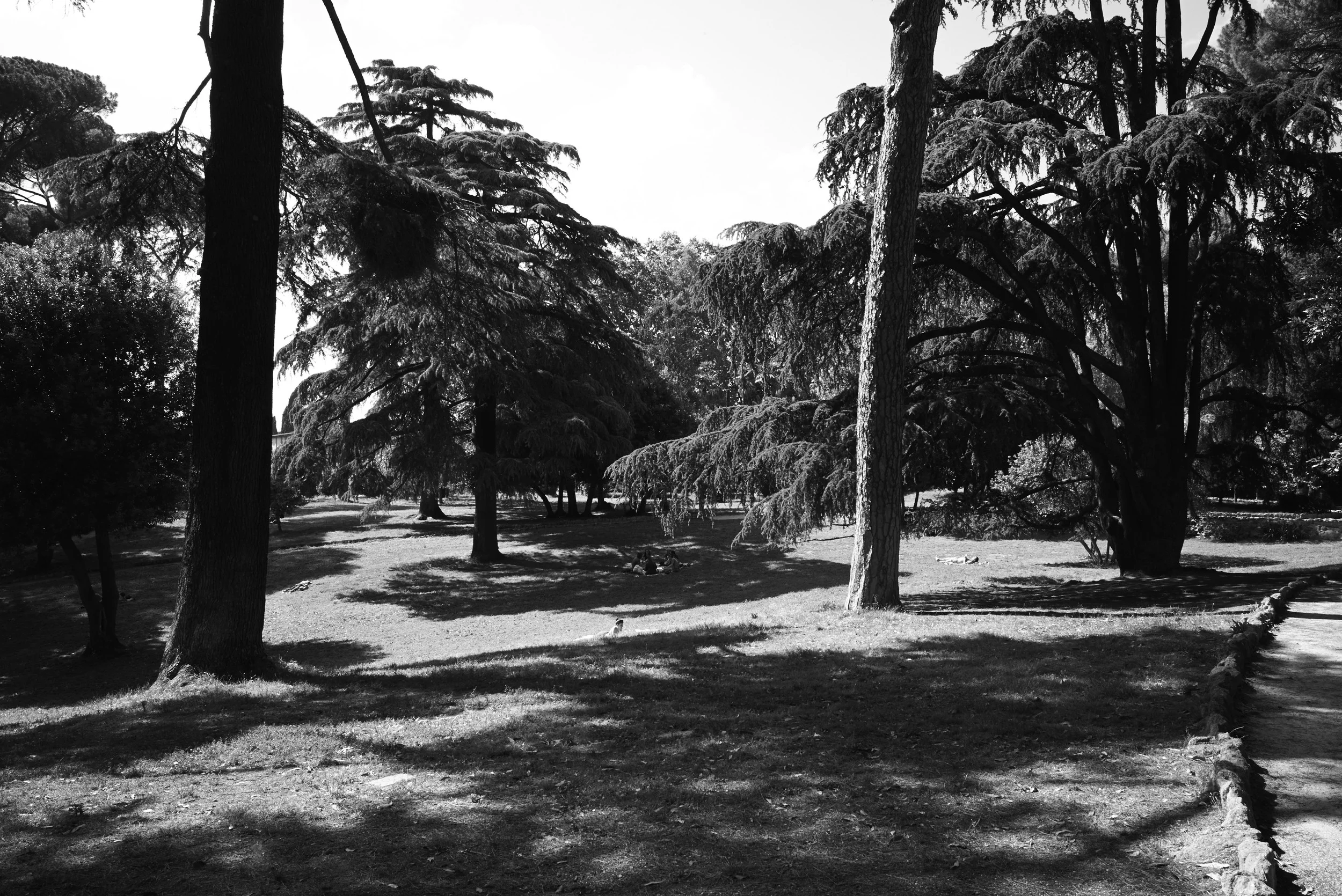 L1008411.jpg