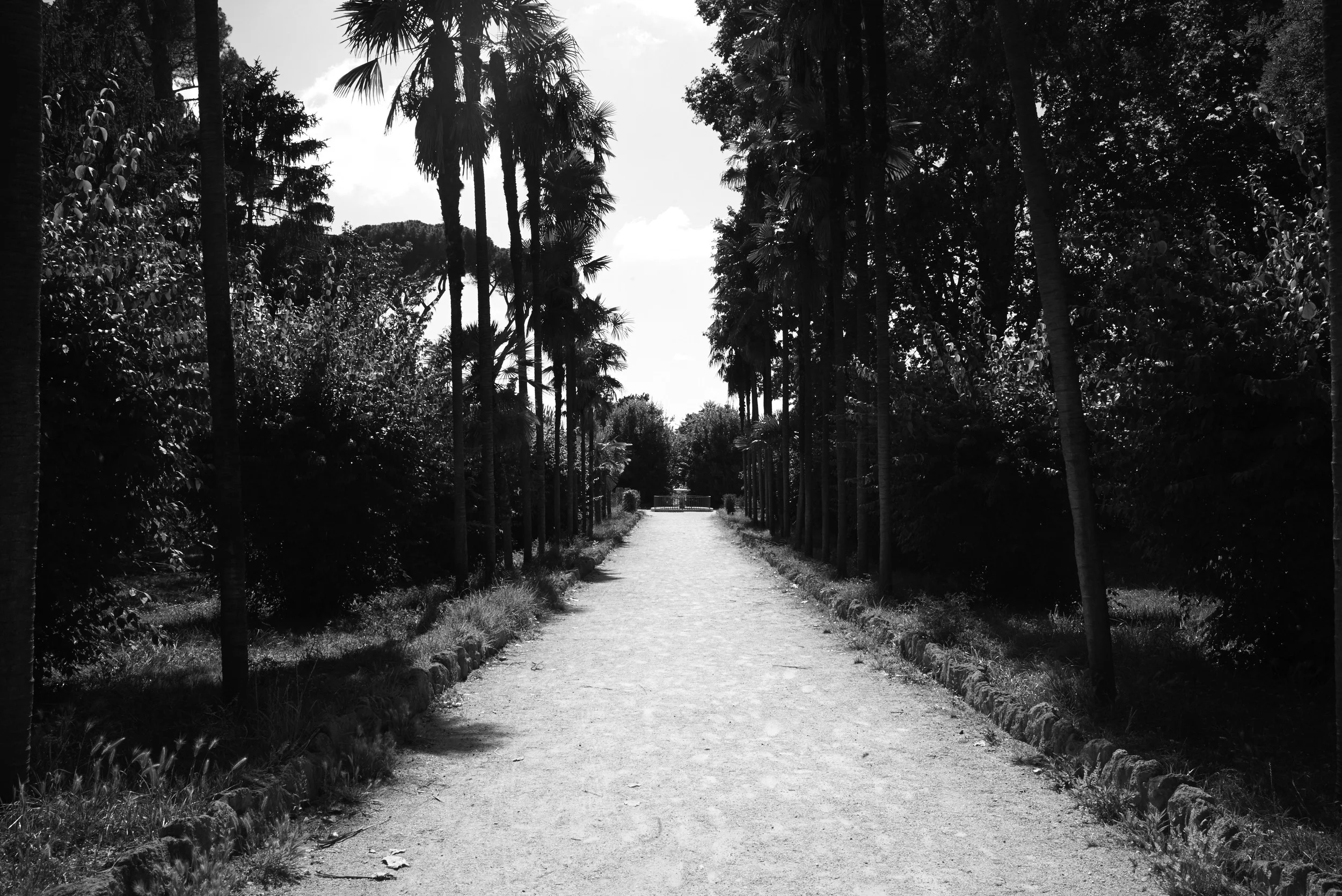 L1008422.jpg