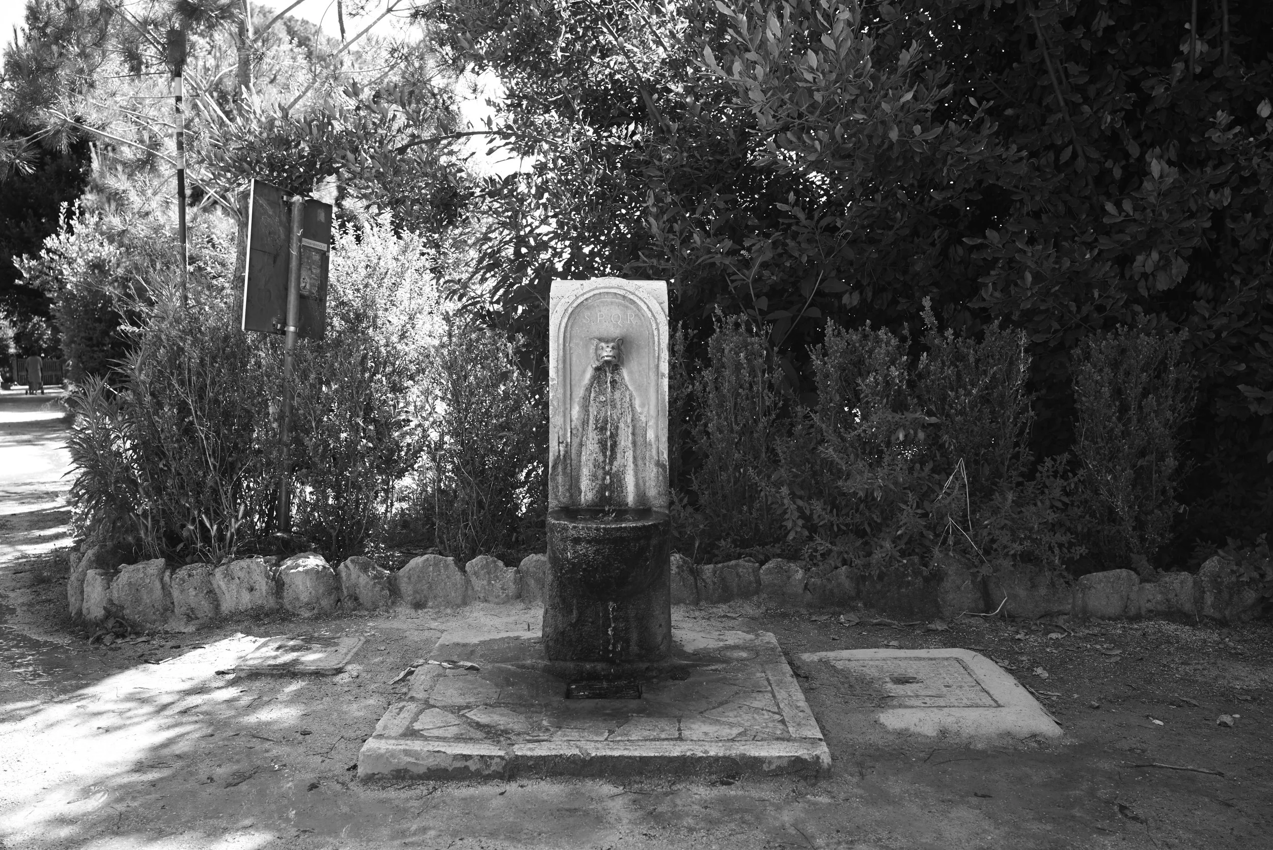 L1008427.jpg