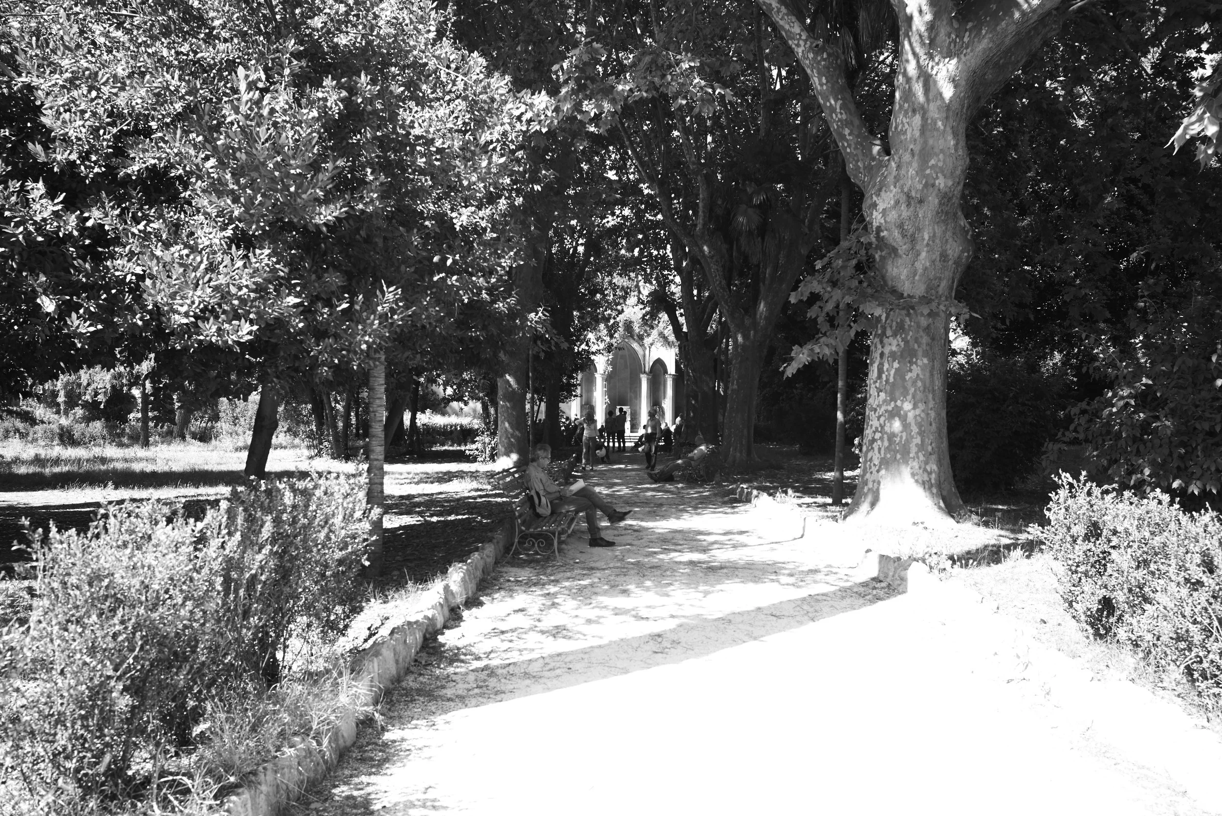 L1008429.jpg
