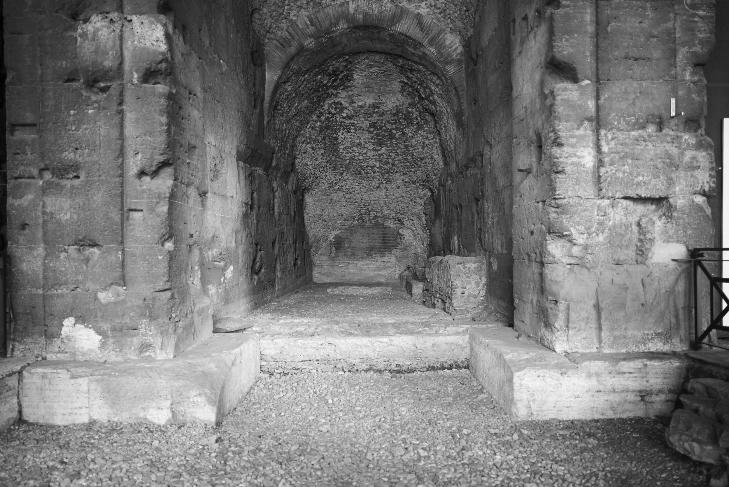 L1008488.jpg