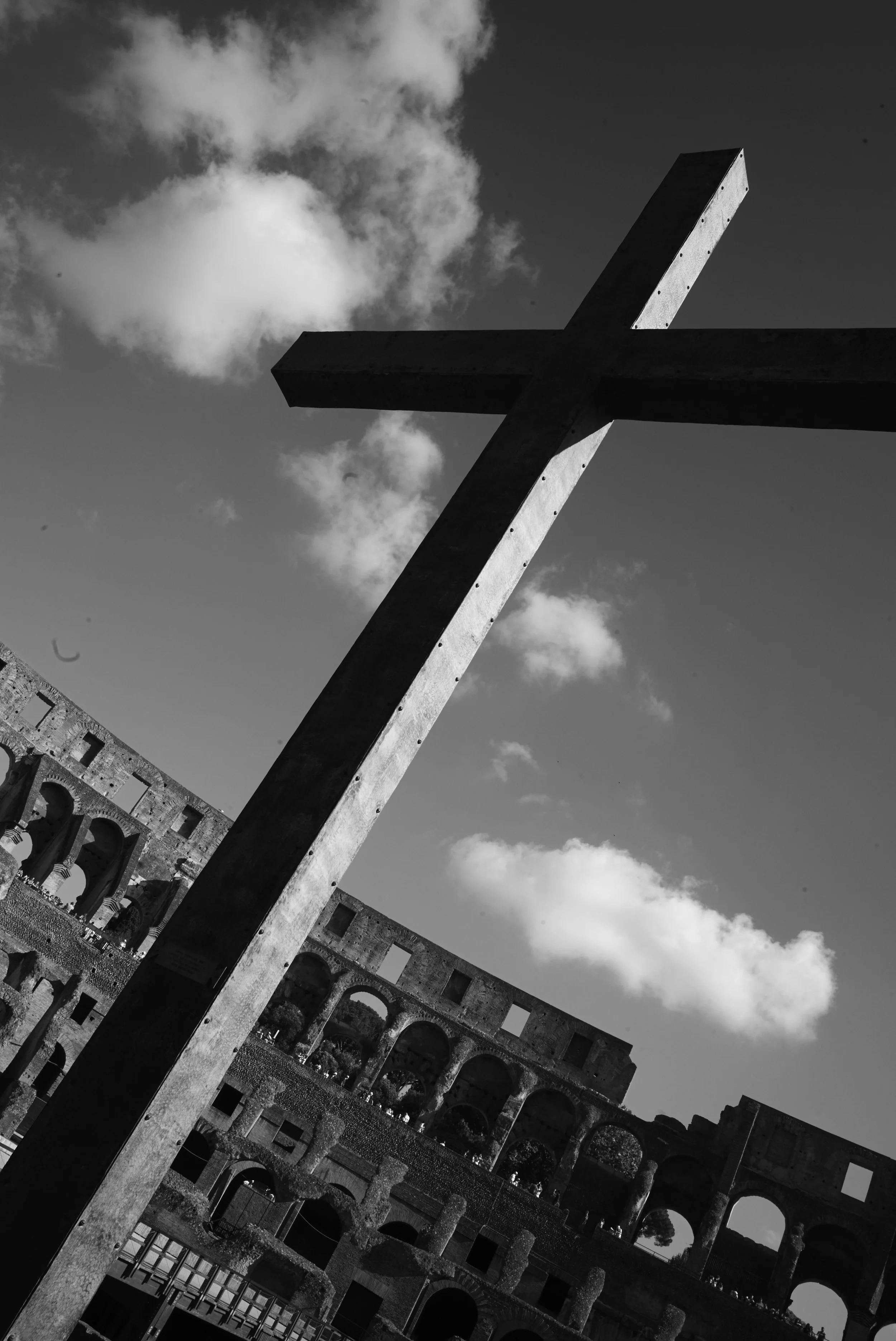 L1008491.jpg