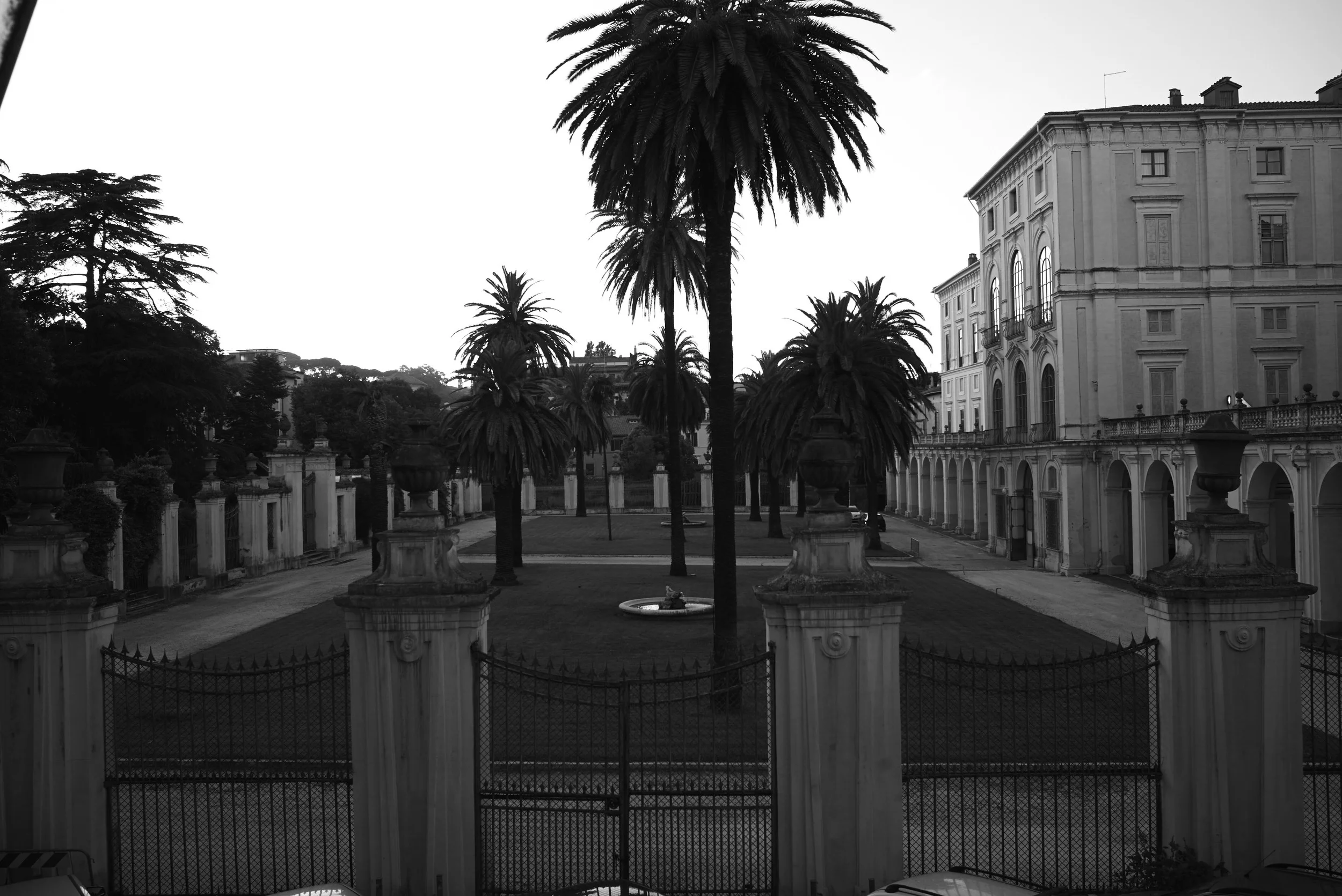 L1008516.jpg