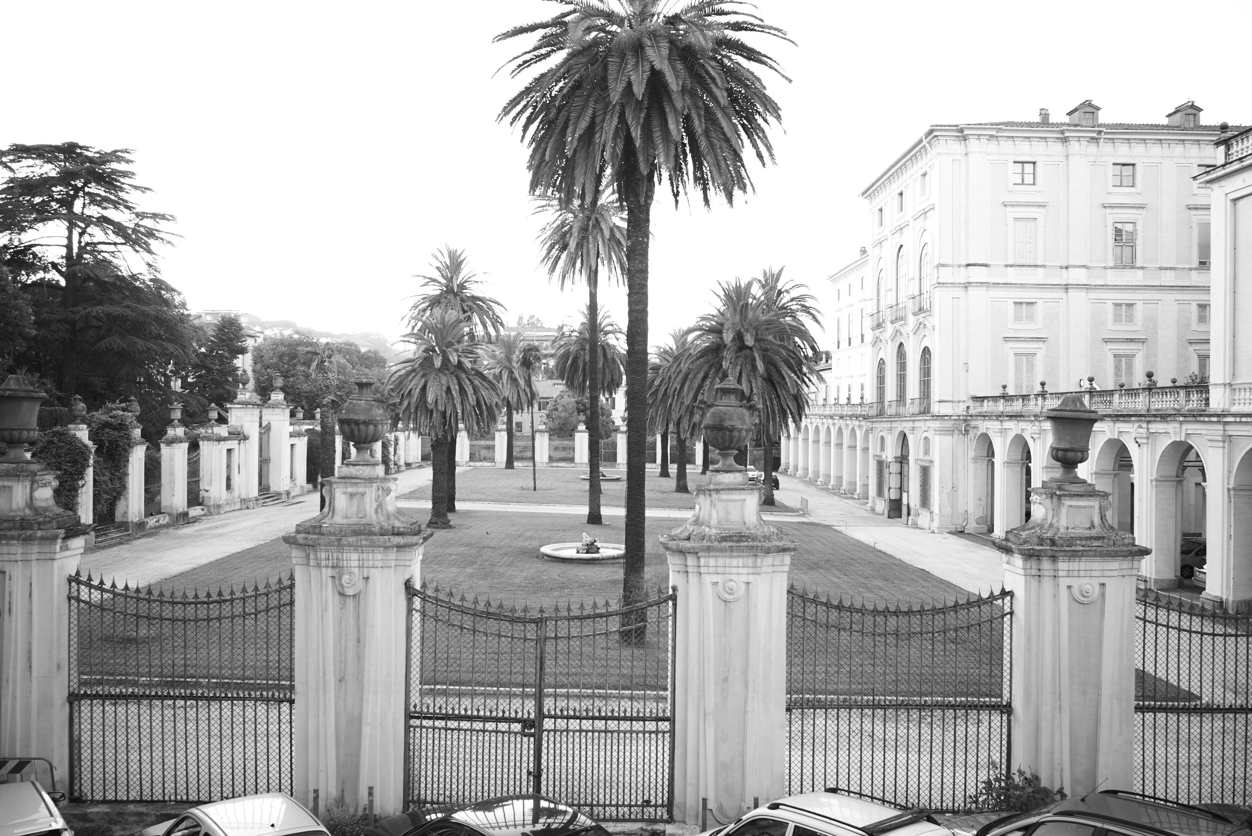L1008517.jpg