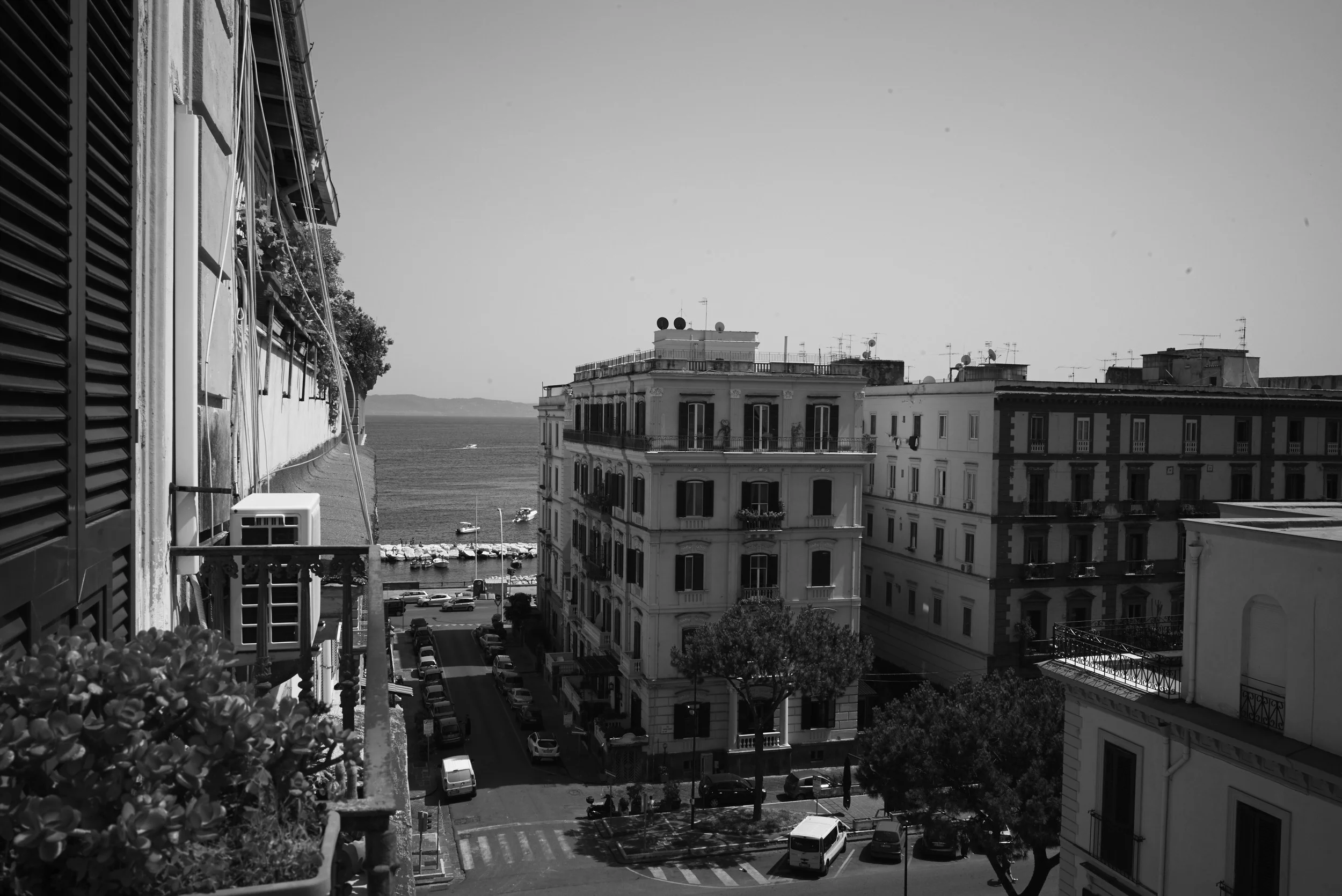 L1008673.jpg