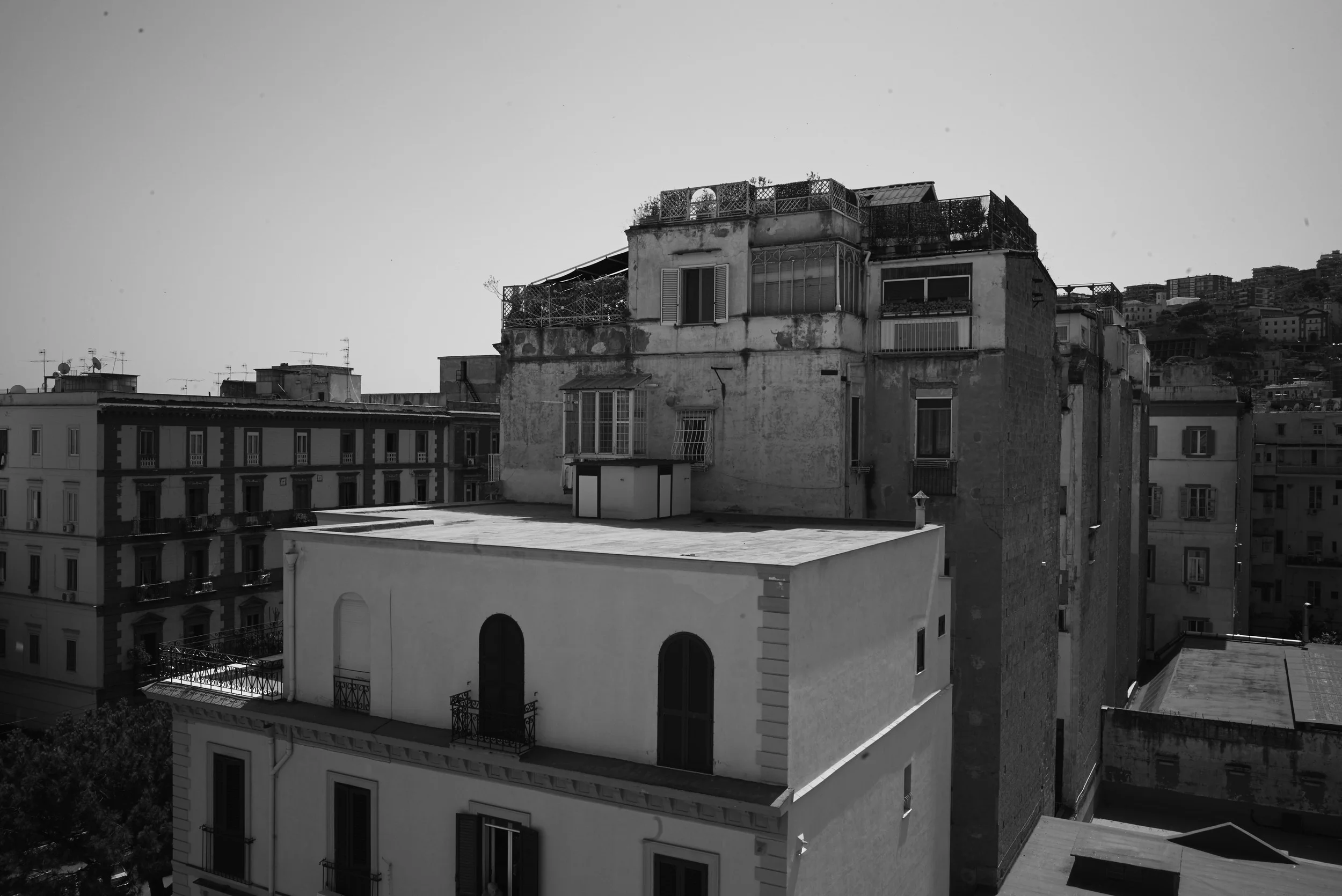 L1008674.jpg
