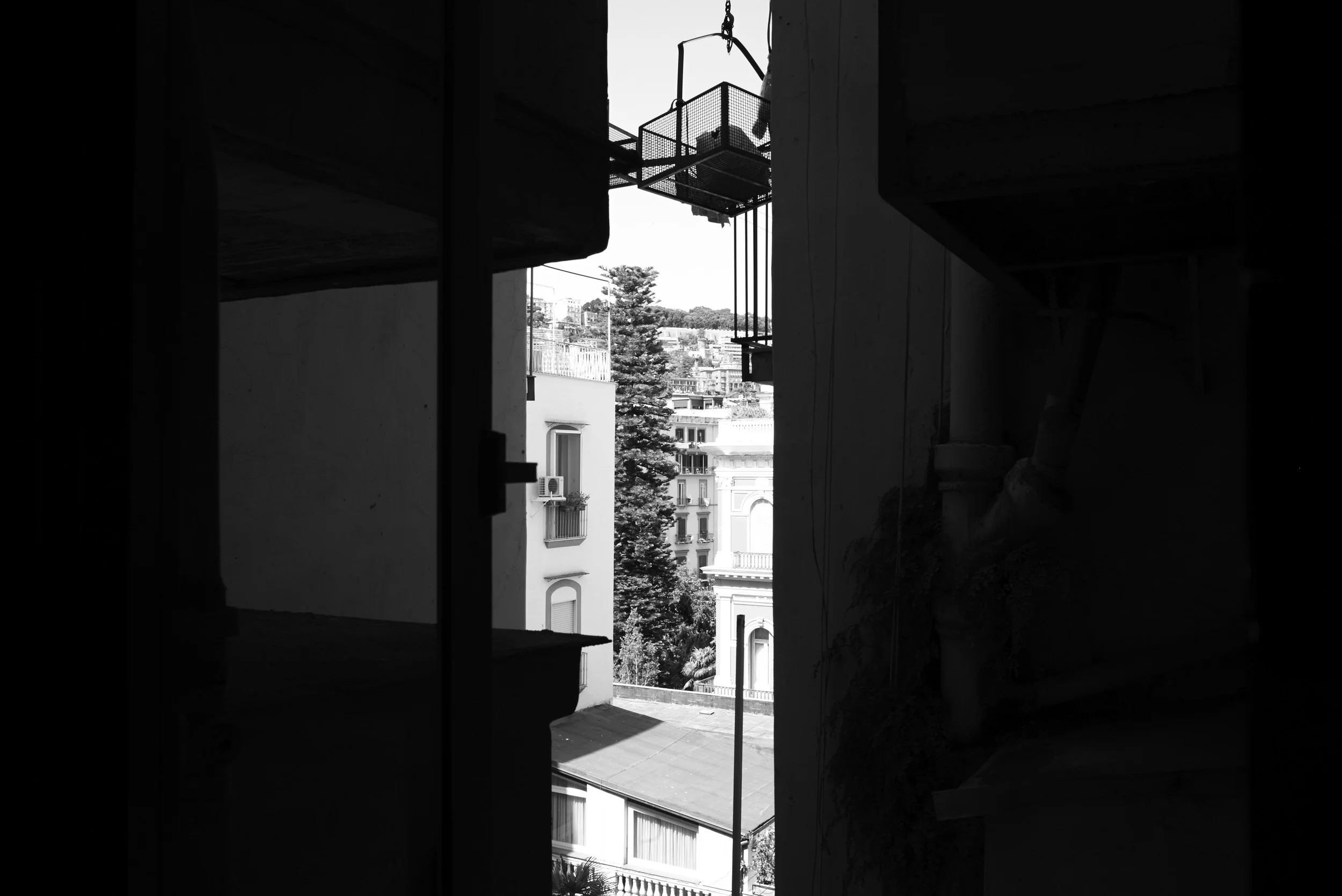 L1008687.jpg