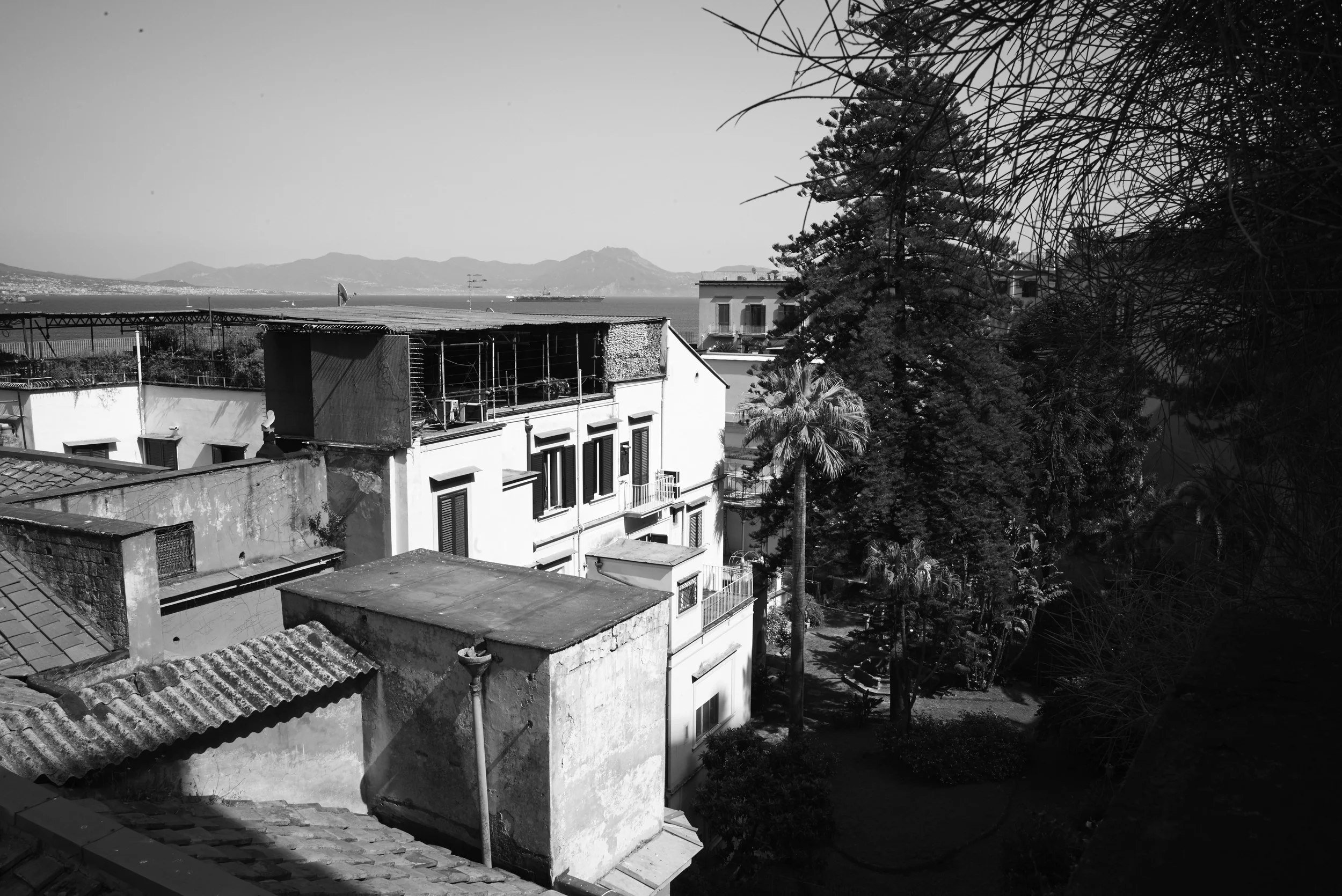 L1008717.jpg