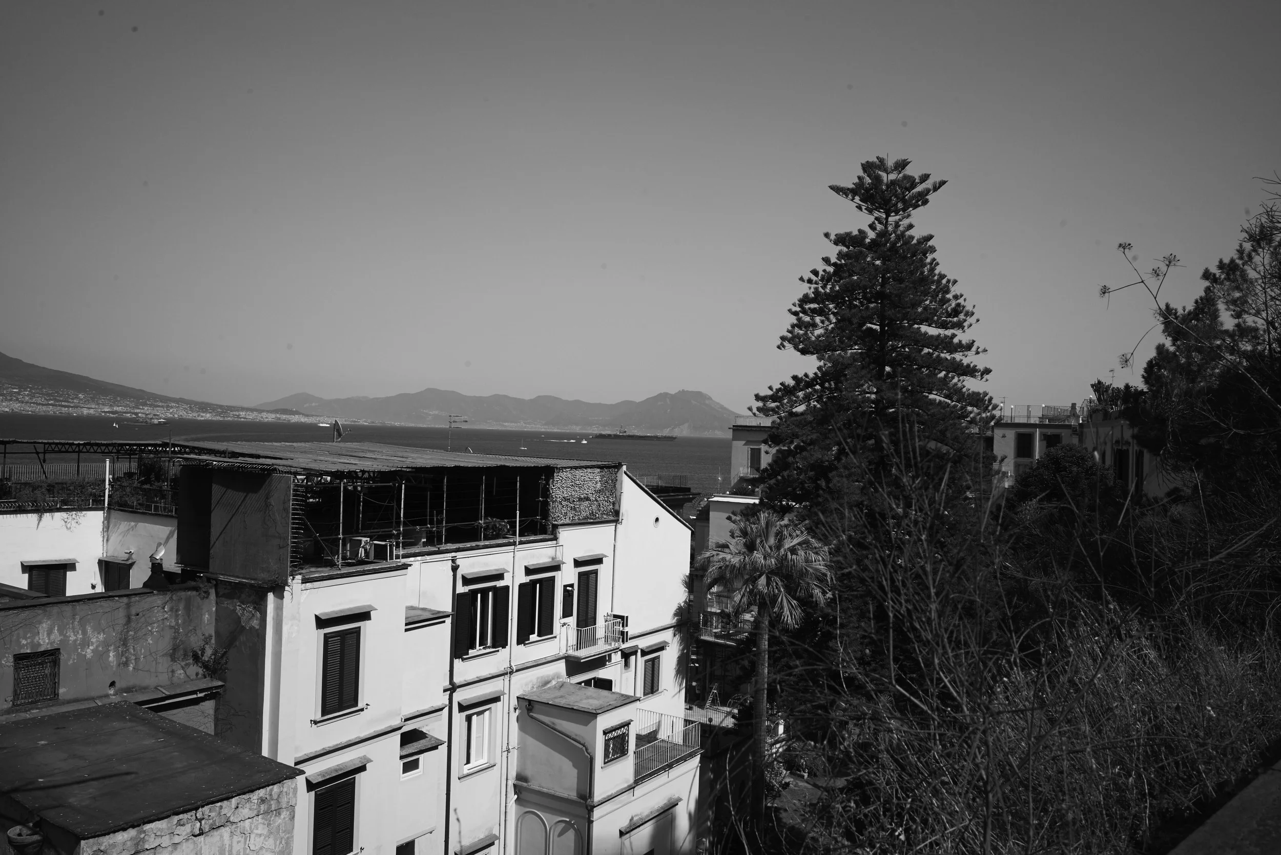 L1008723.jpg