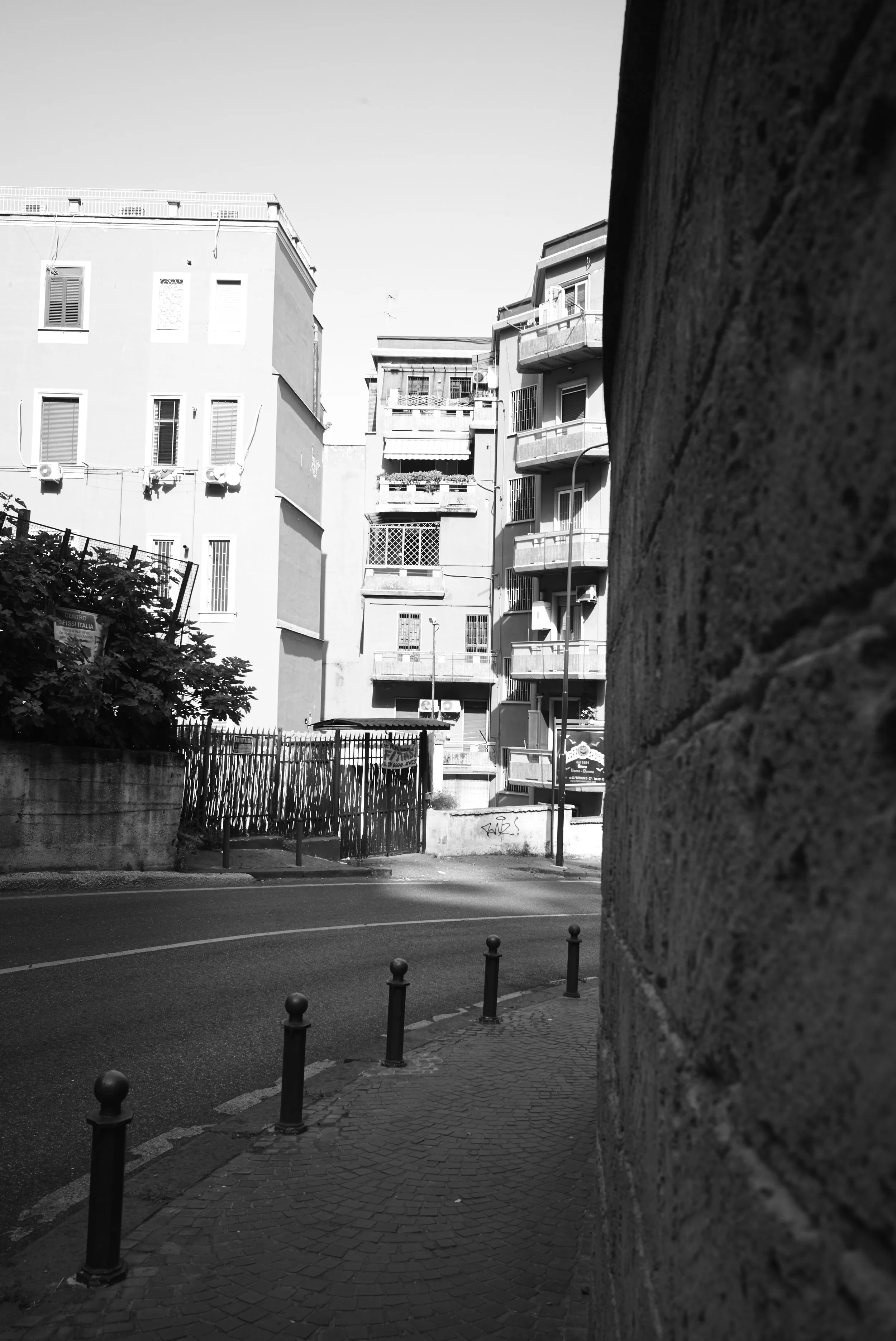 L1008730.jpg