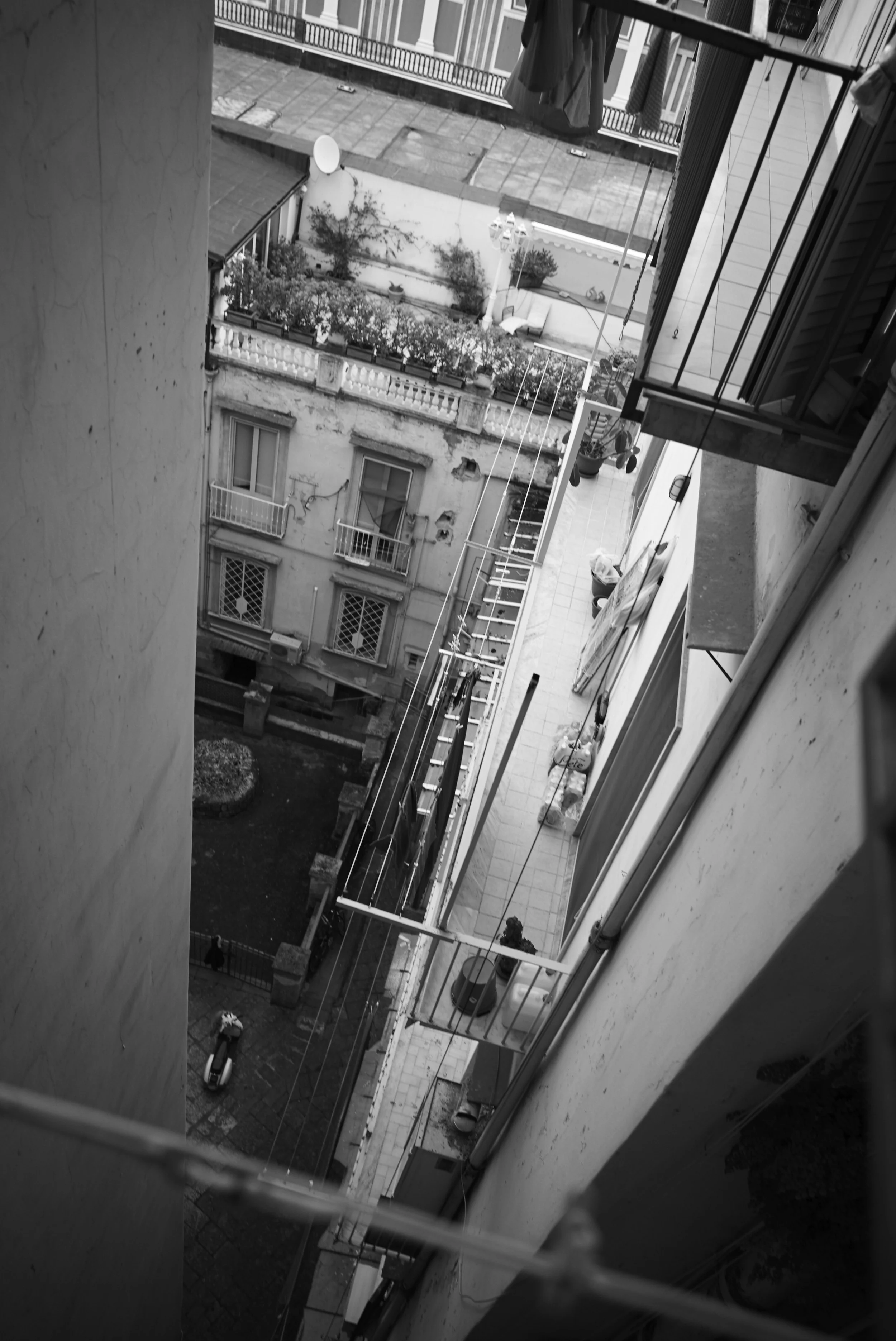 L1008743.jpg