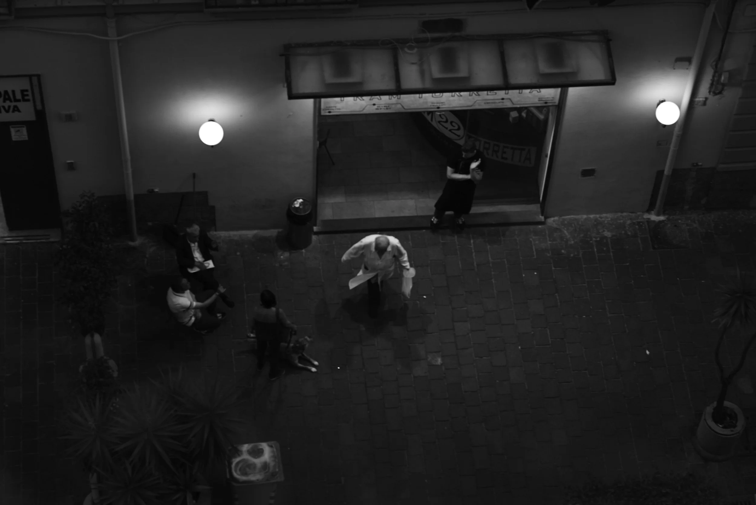 L1008776.jpg