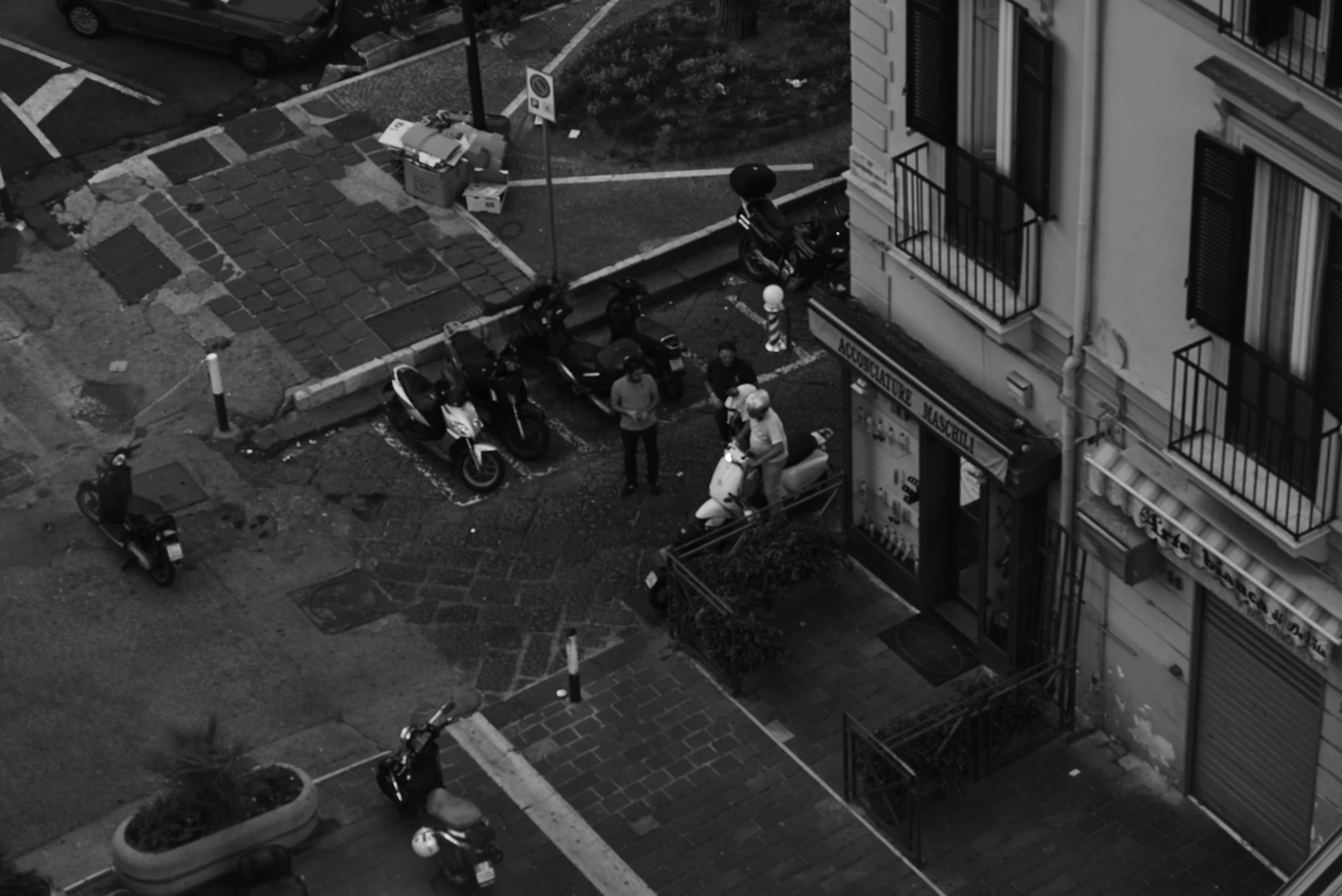L1008779.jpg