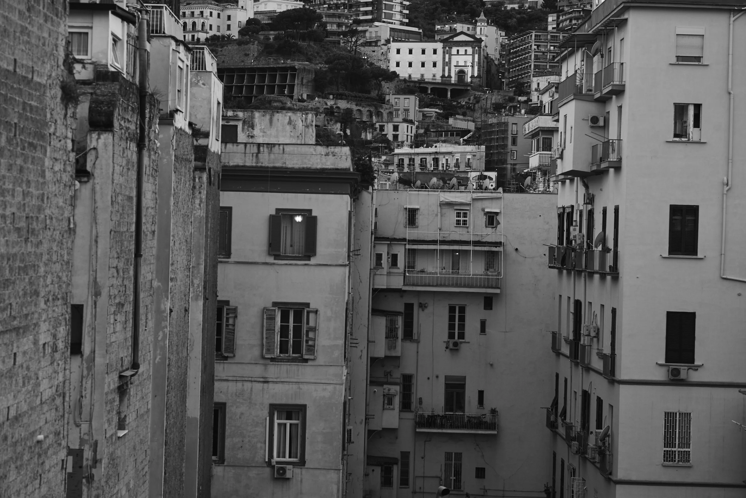 L1008783.jpg