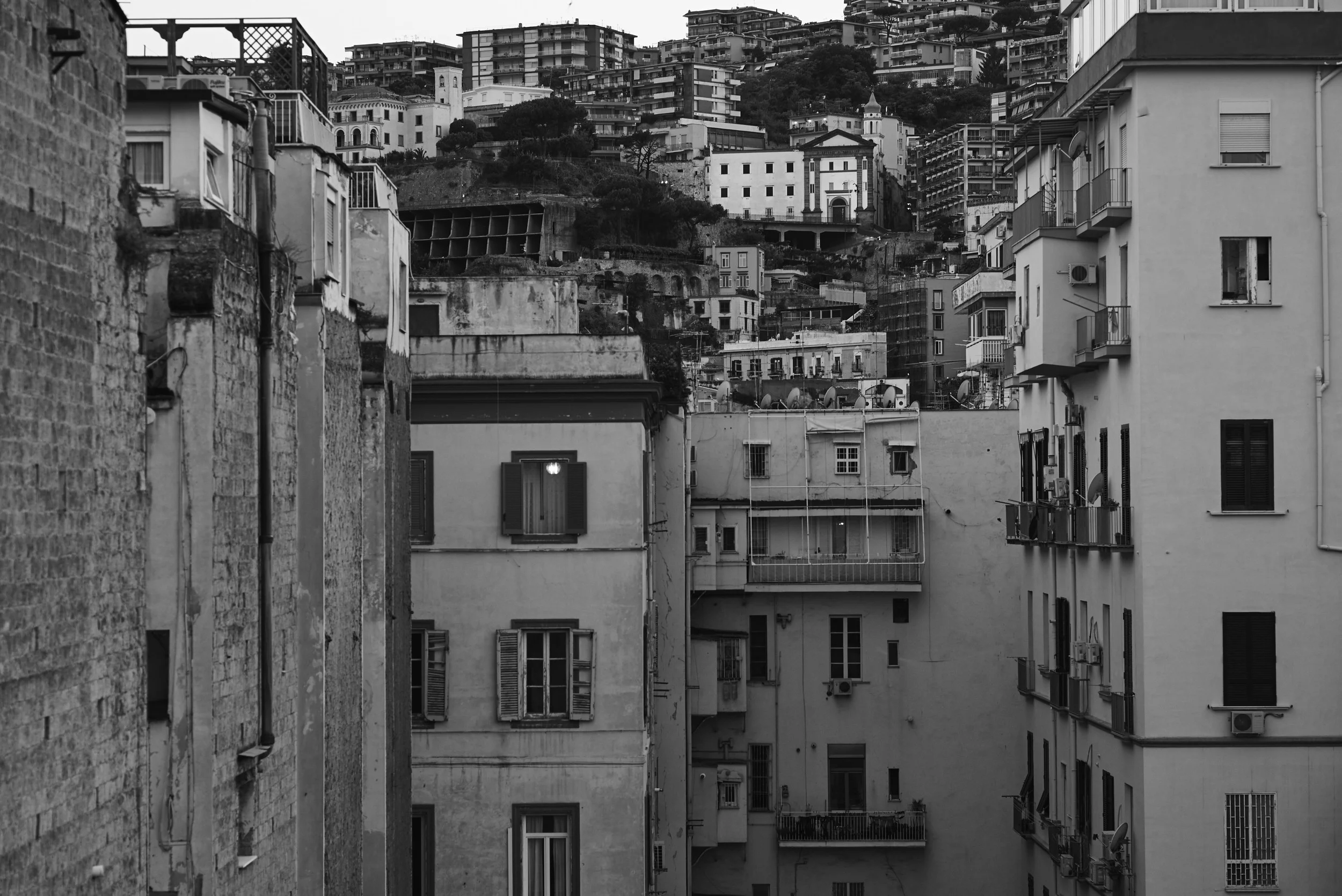 L1008784.jpg