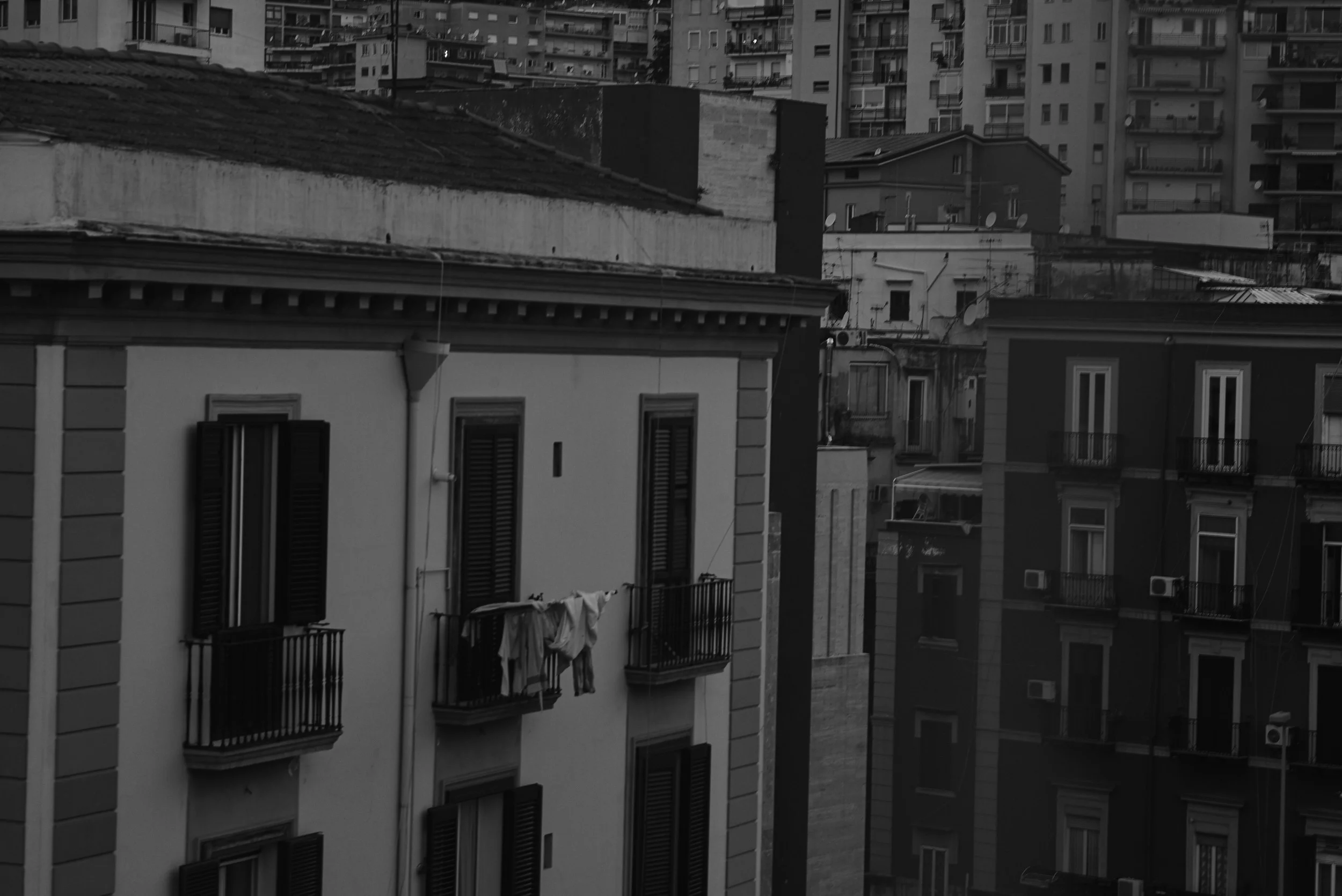 L1008787.jpg