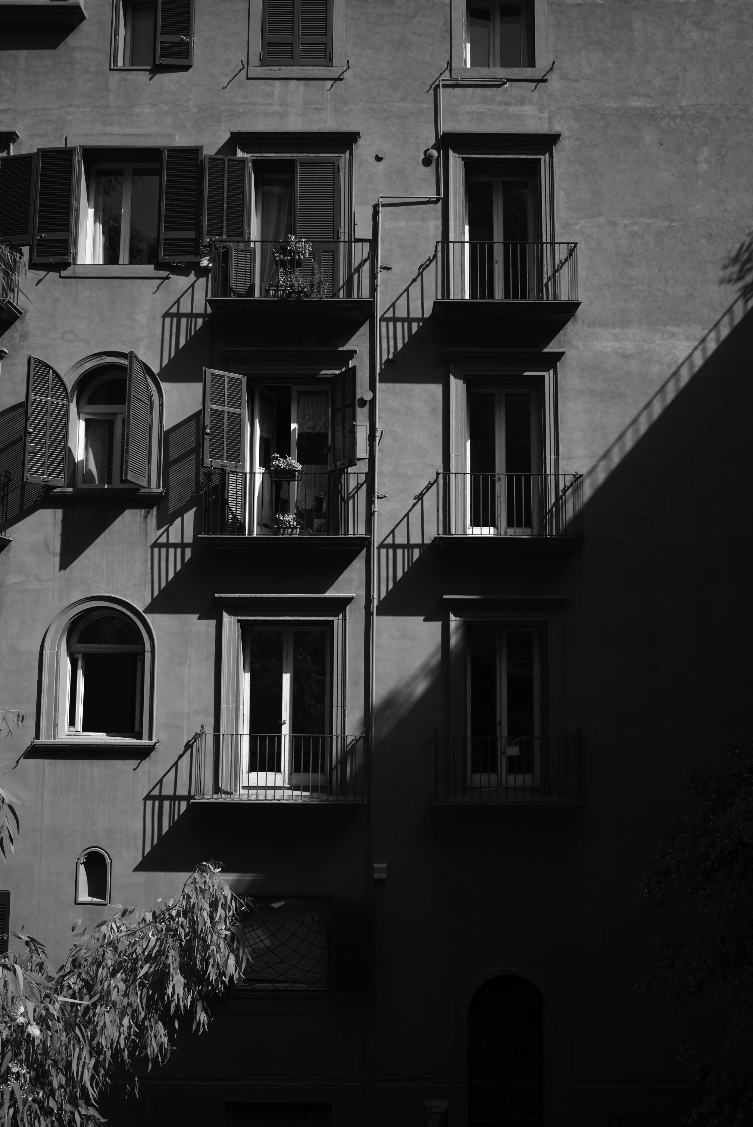 L1008944.jpg