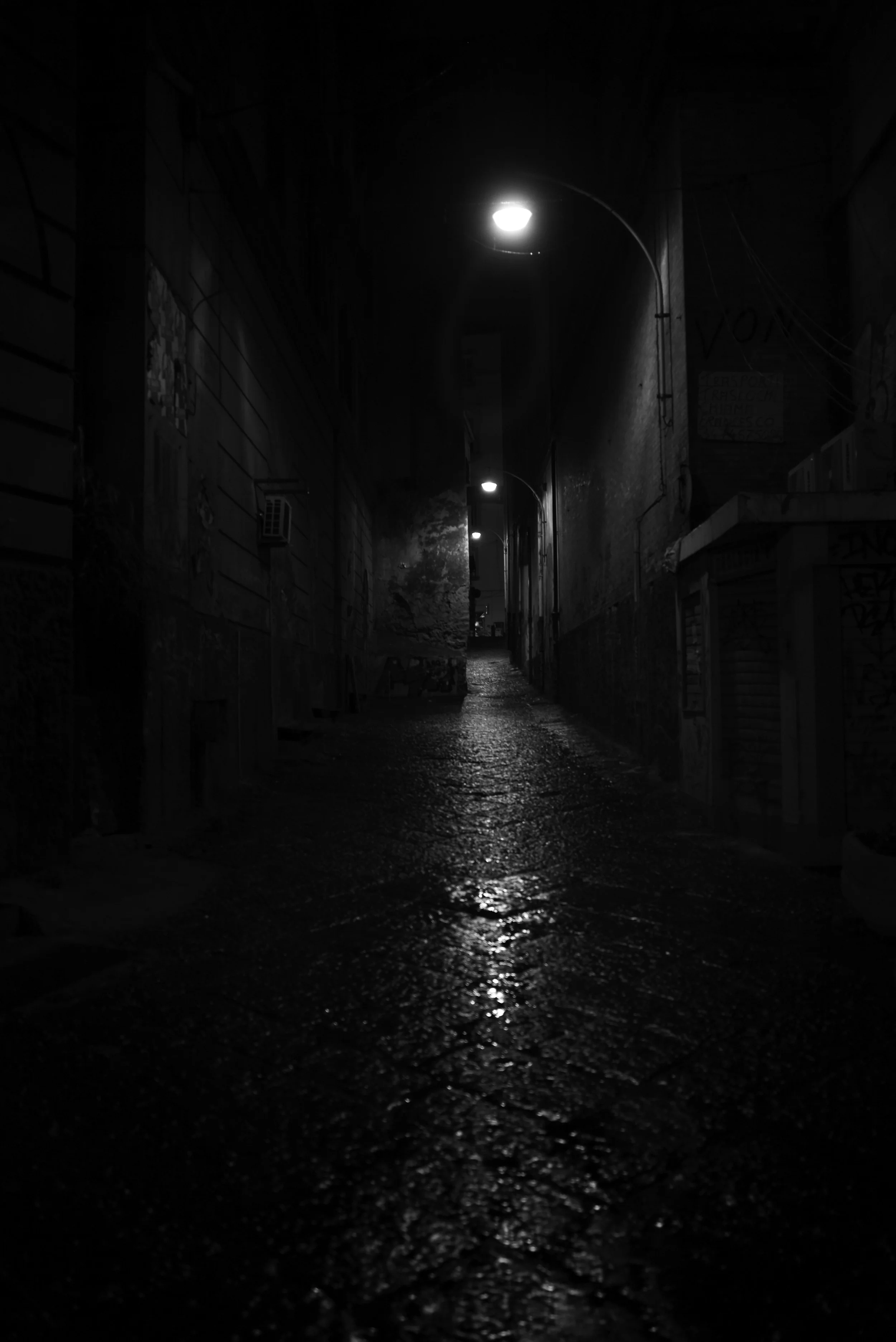L1009011.jpg