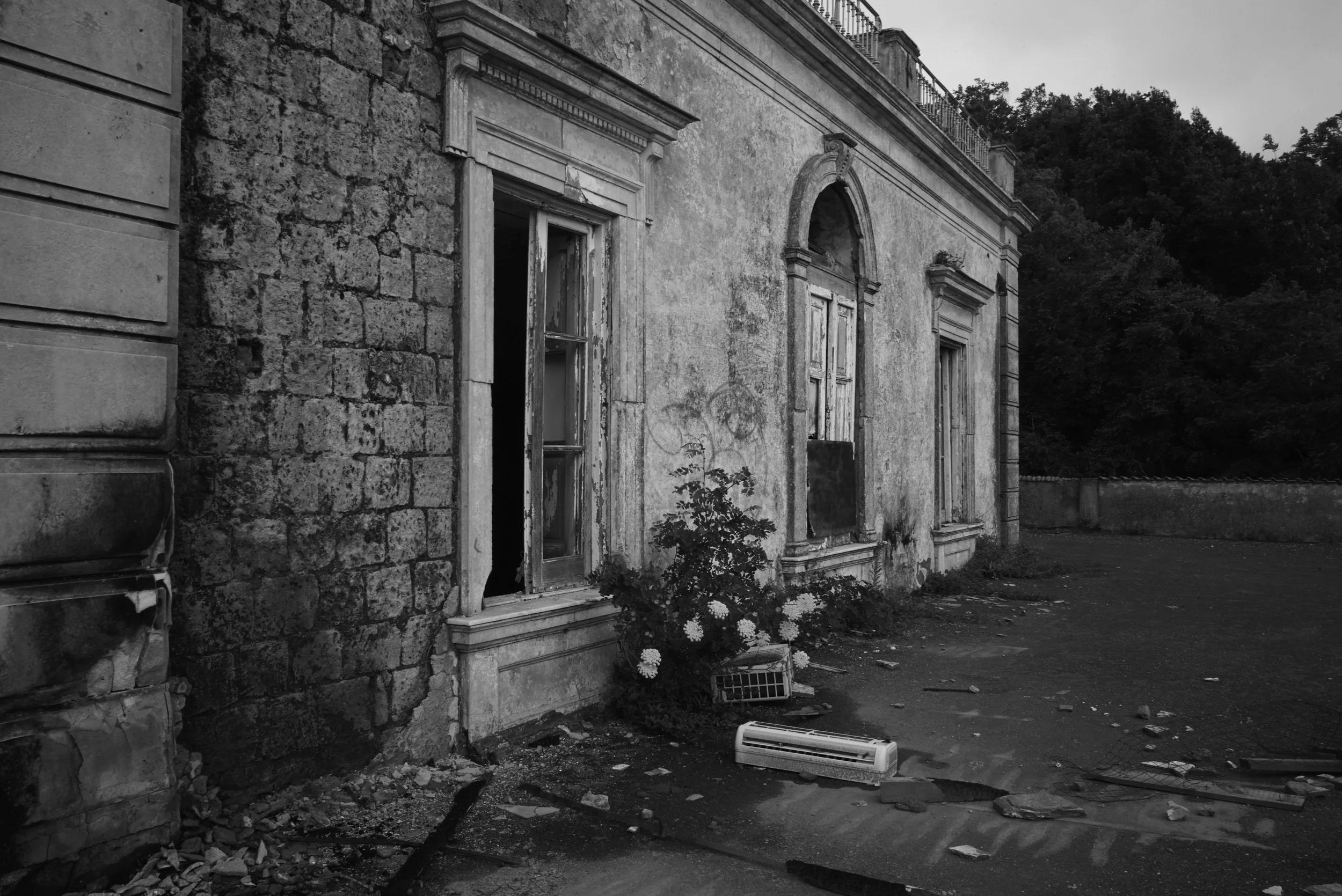 L1009067.jpg