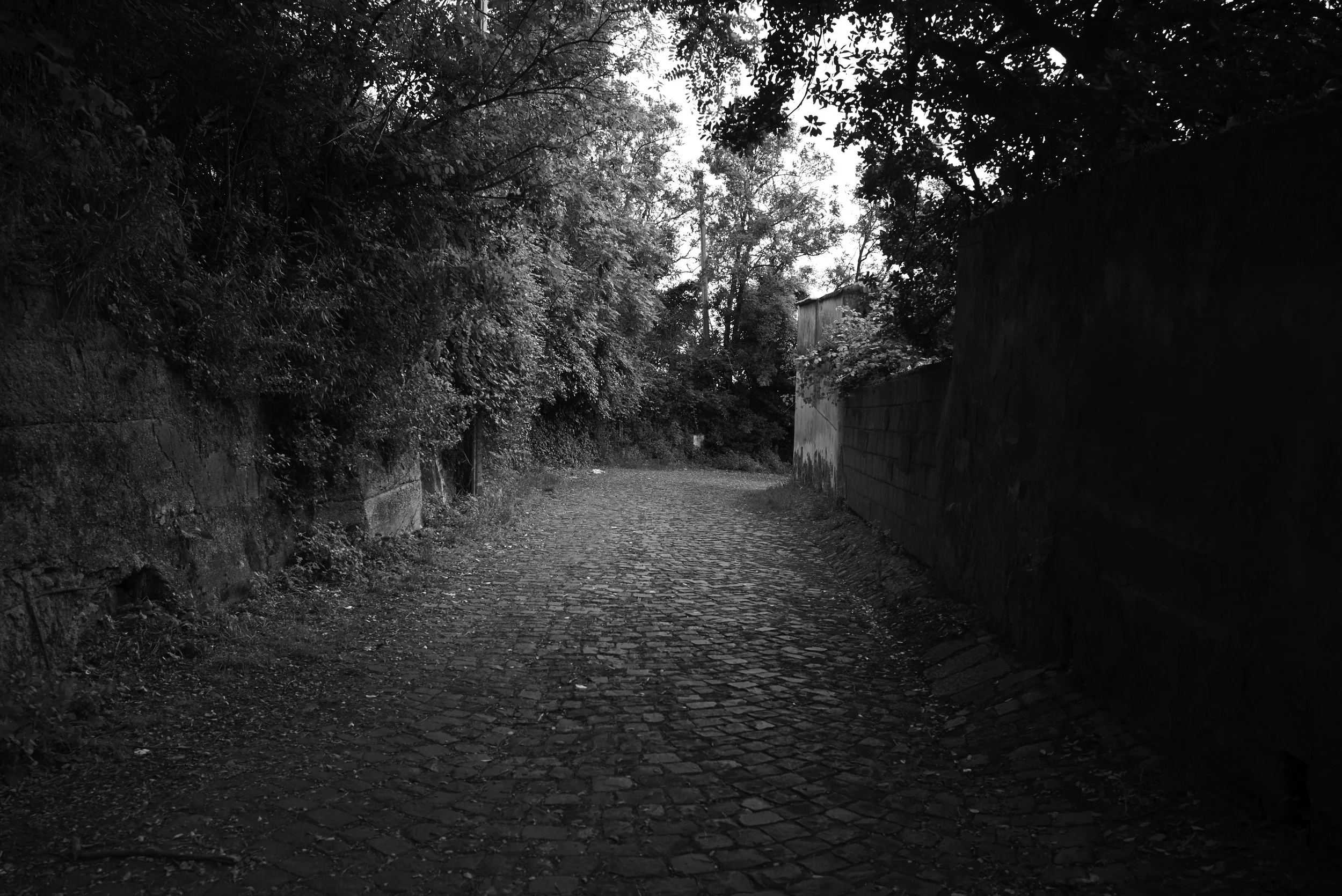 L1009101.jpg