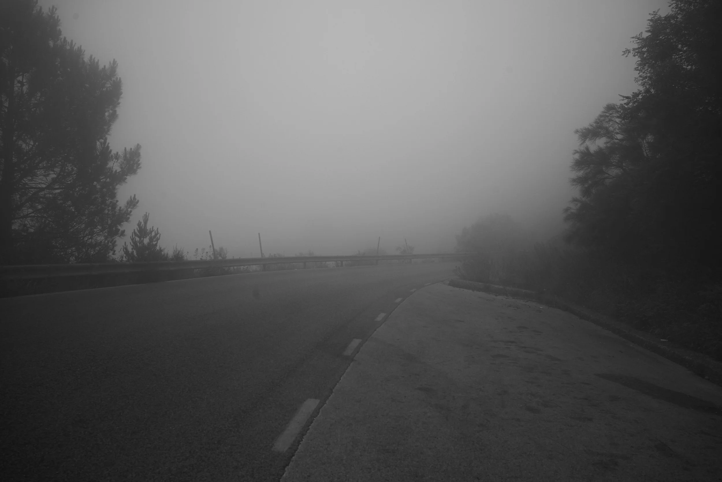 L1009106.jpg