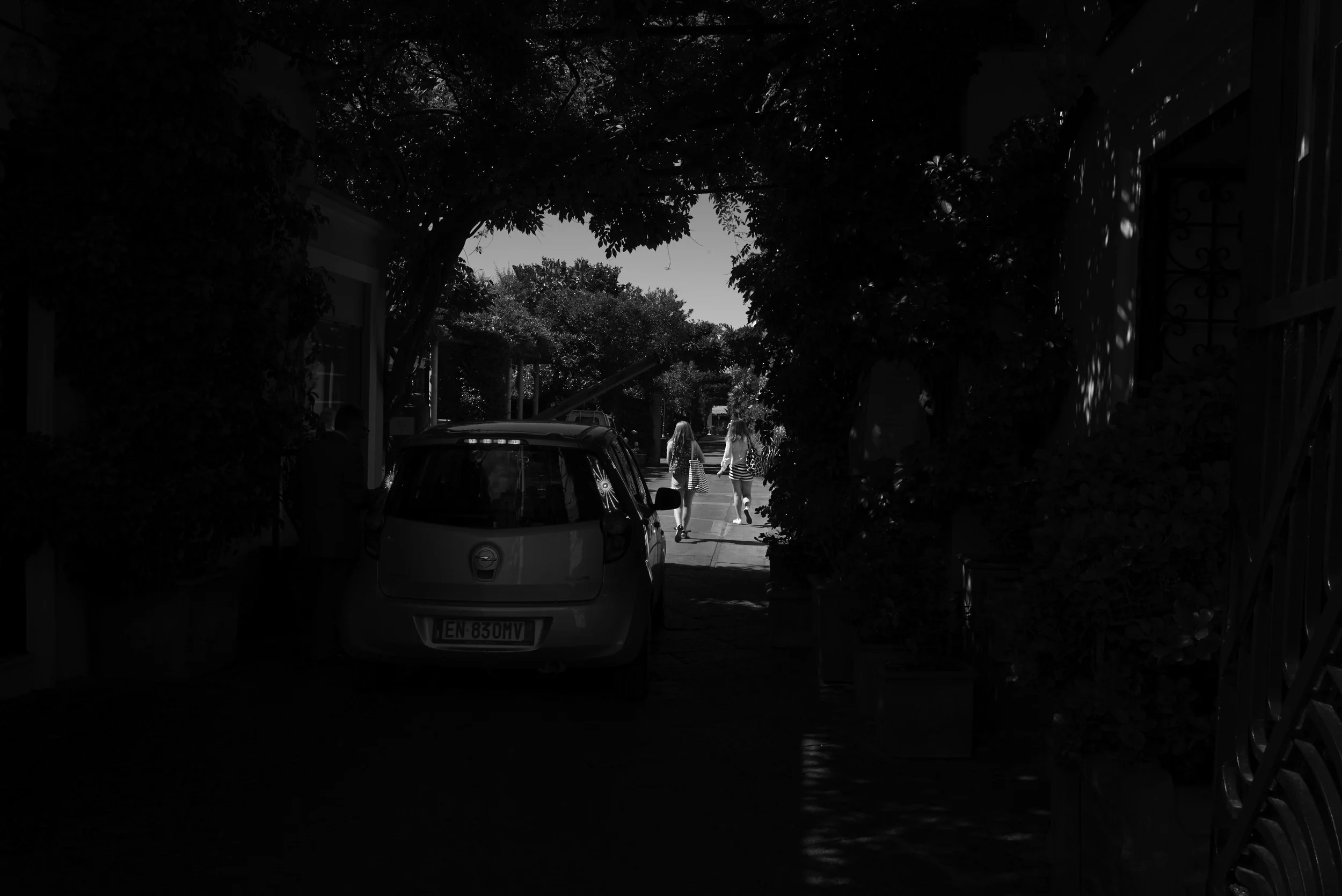 L1009224.jpg