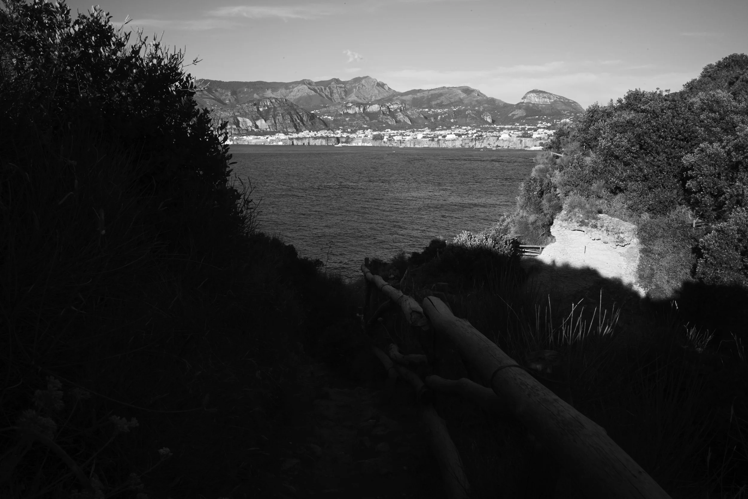 L1009255.jpg
