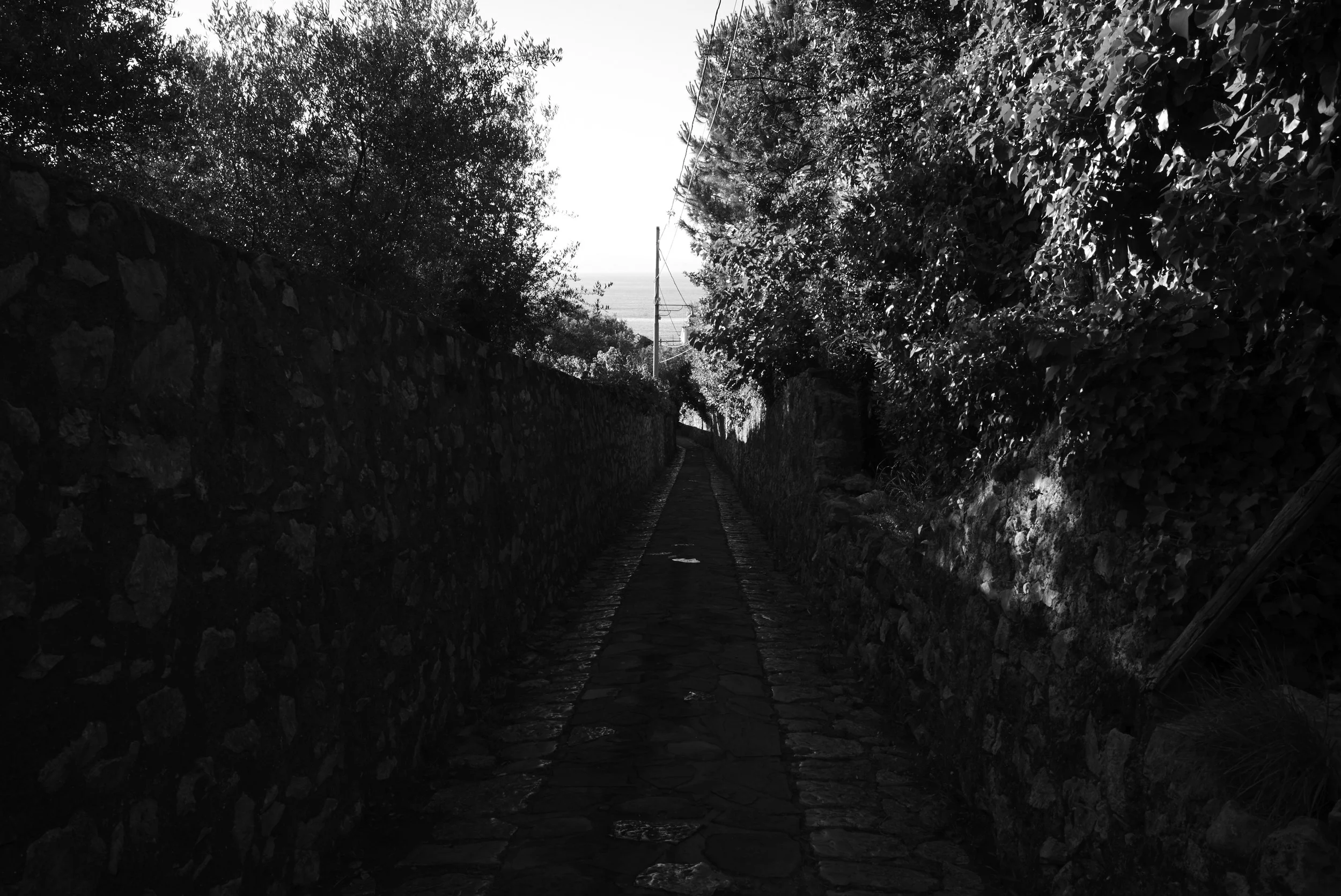 L1009247.jpg